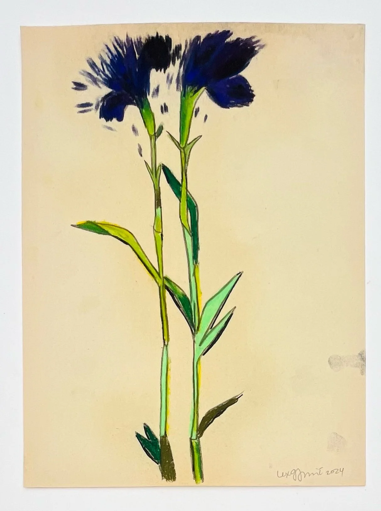  8- NFS  9x12"  Drawing on found paper  2024 