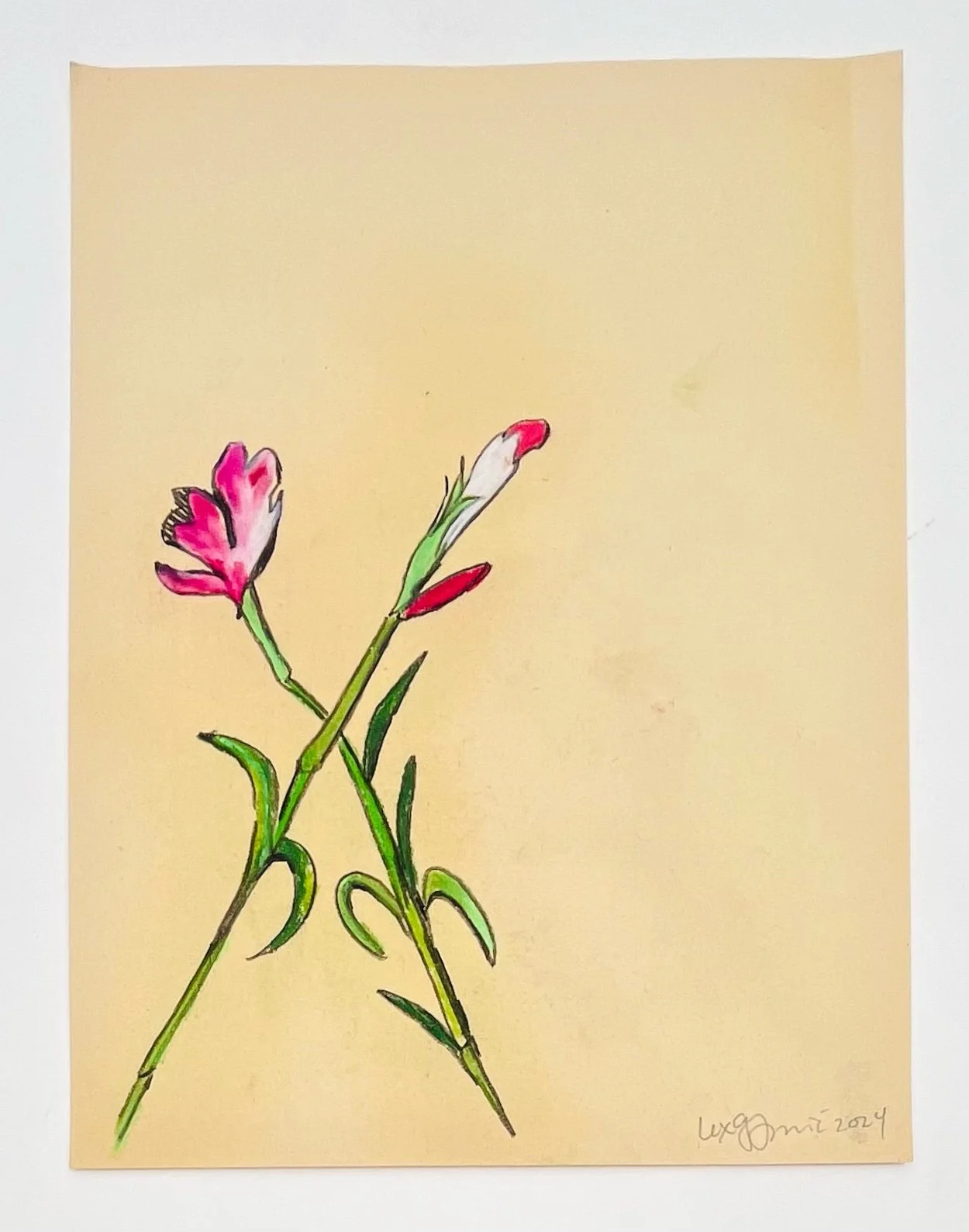  3  9x12"  Drawing on found paper  2024 