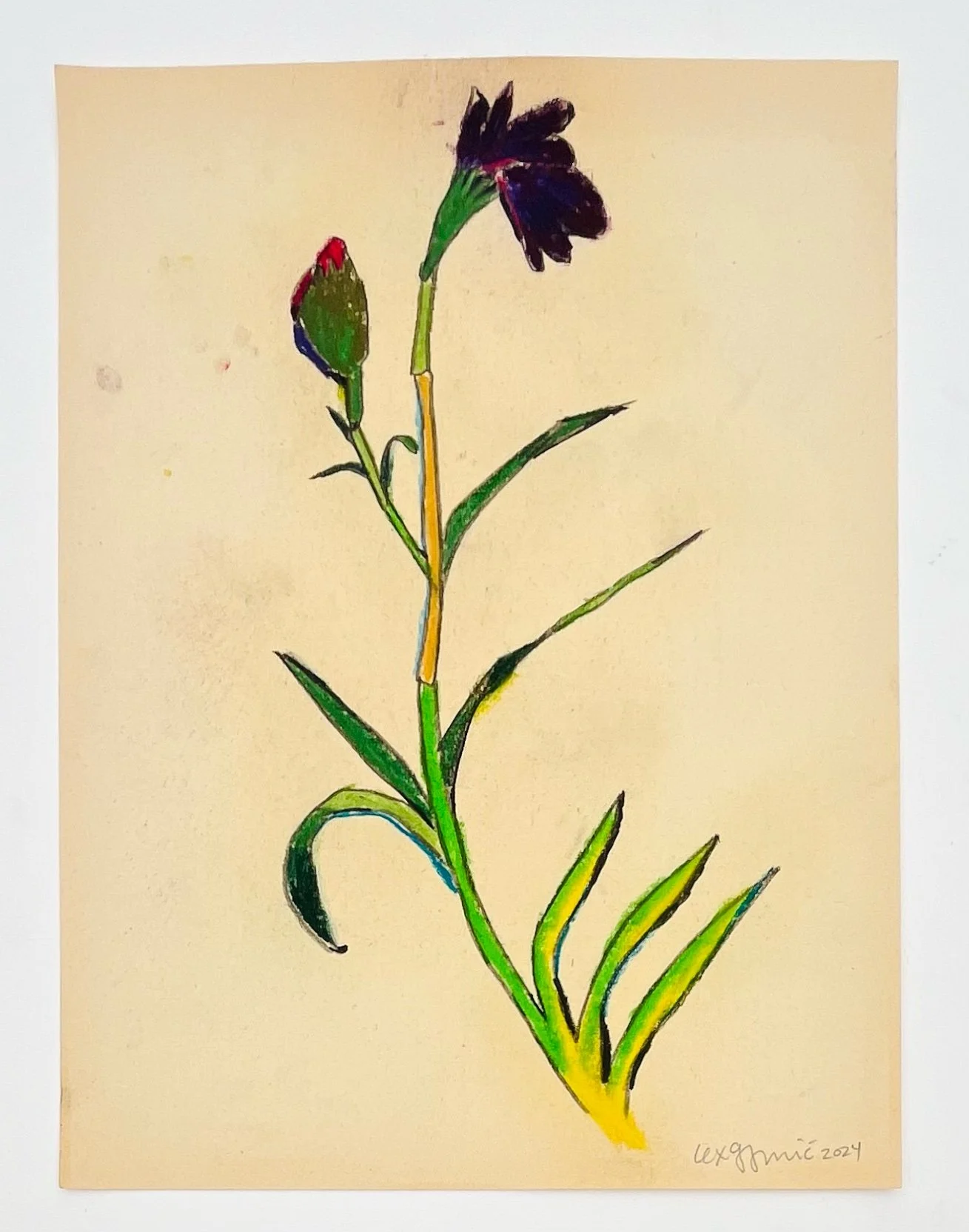  13  9x12"  Drawing on found paper  2024 