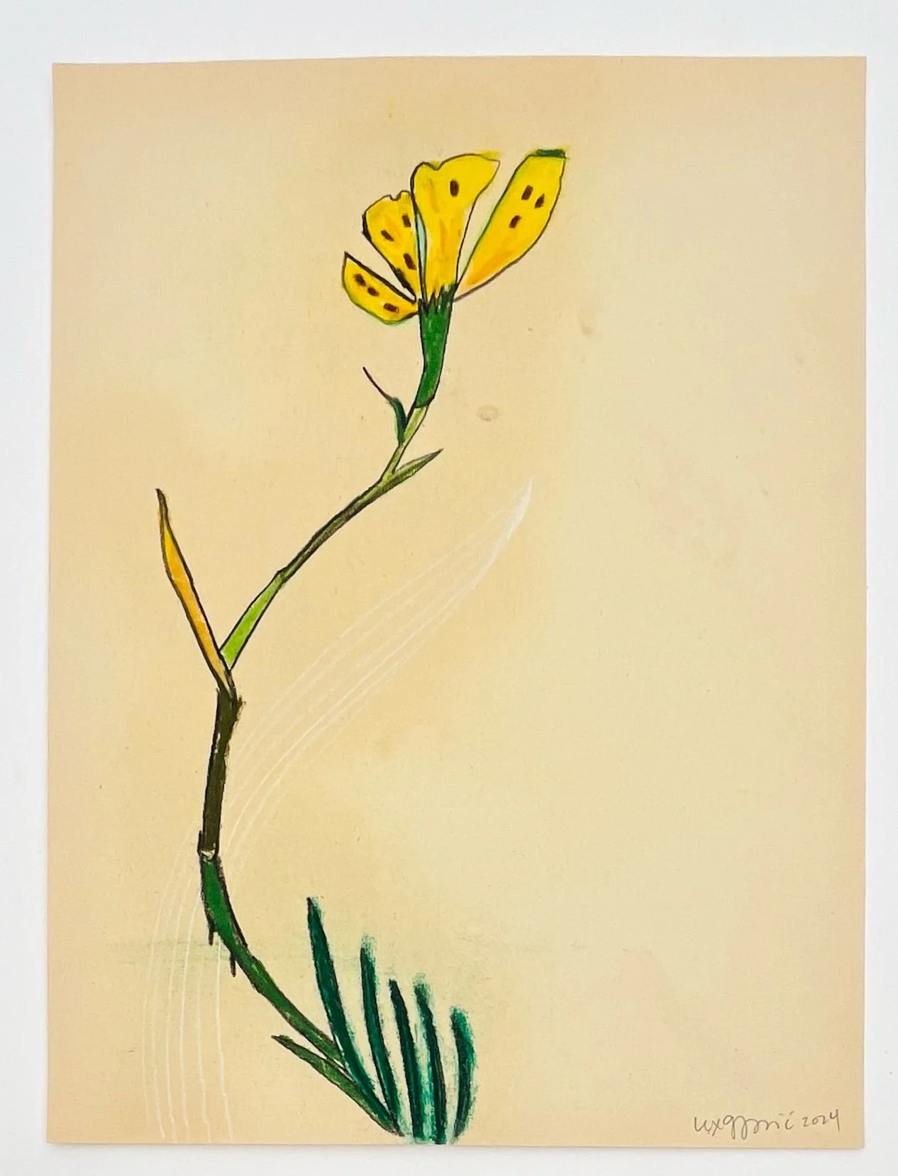  9  9x12"  Drawing on found paper  2024 