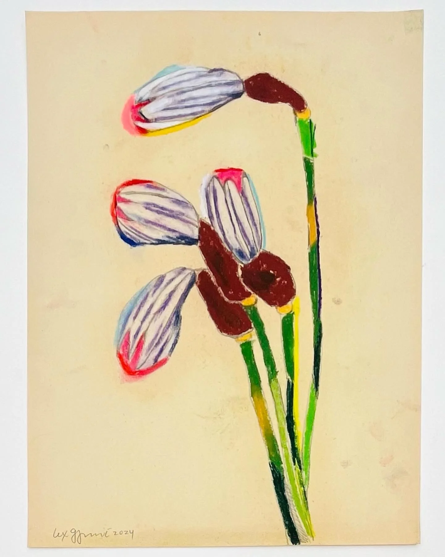  19  9x12"  Drawing on found paper  2024 