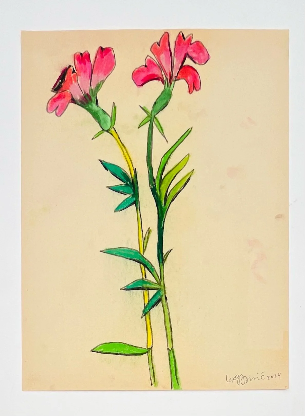  1  9x12"  Drawing on found paper  2024 