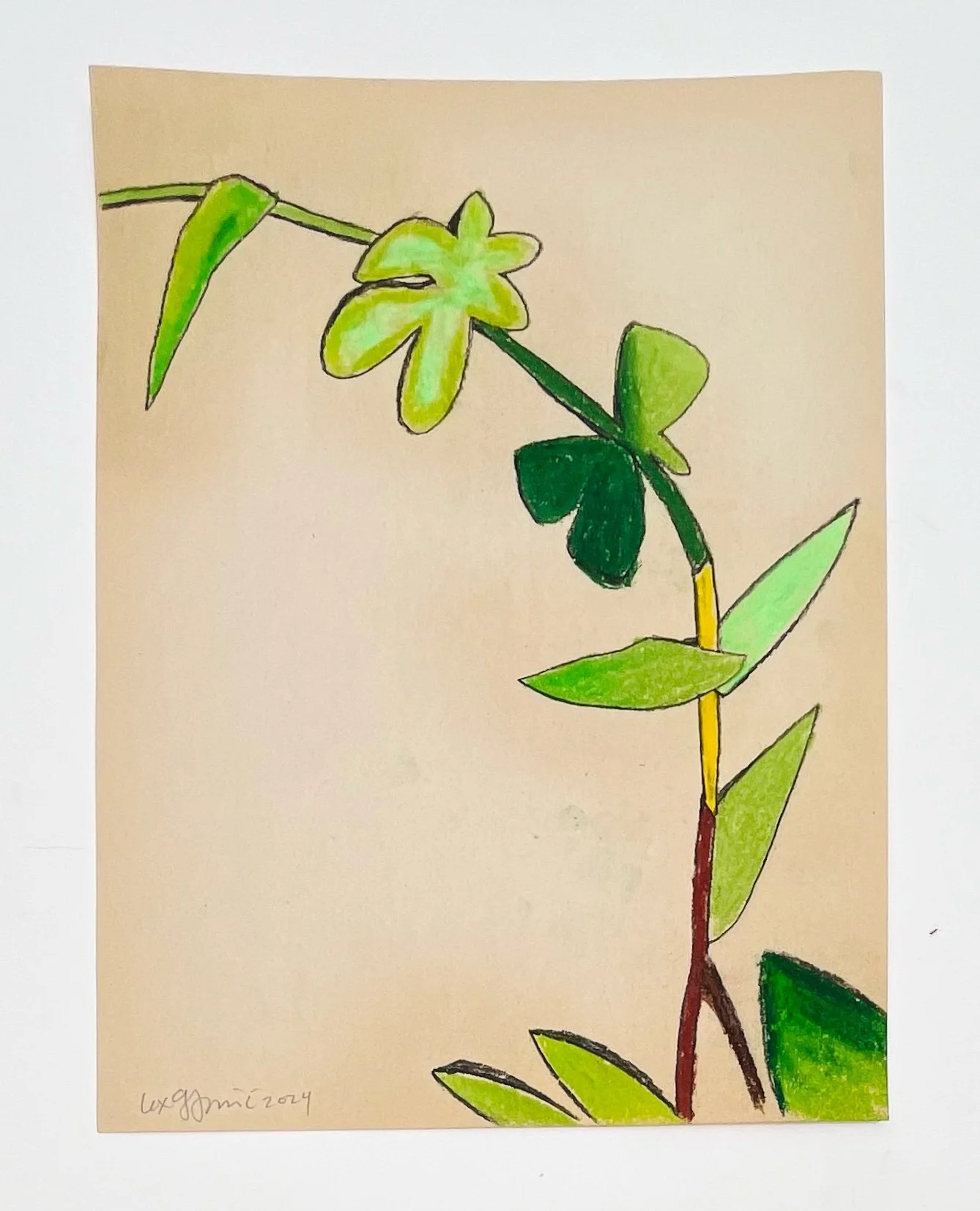  4  9x12"  Drawing on found paper  2024 