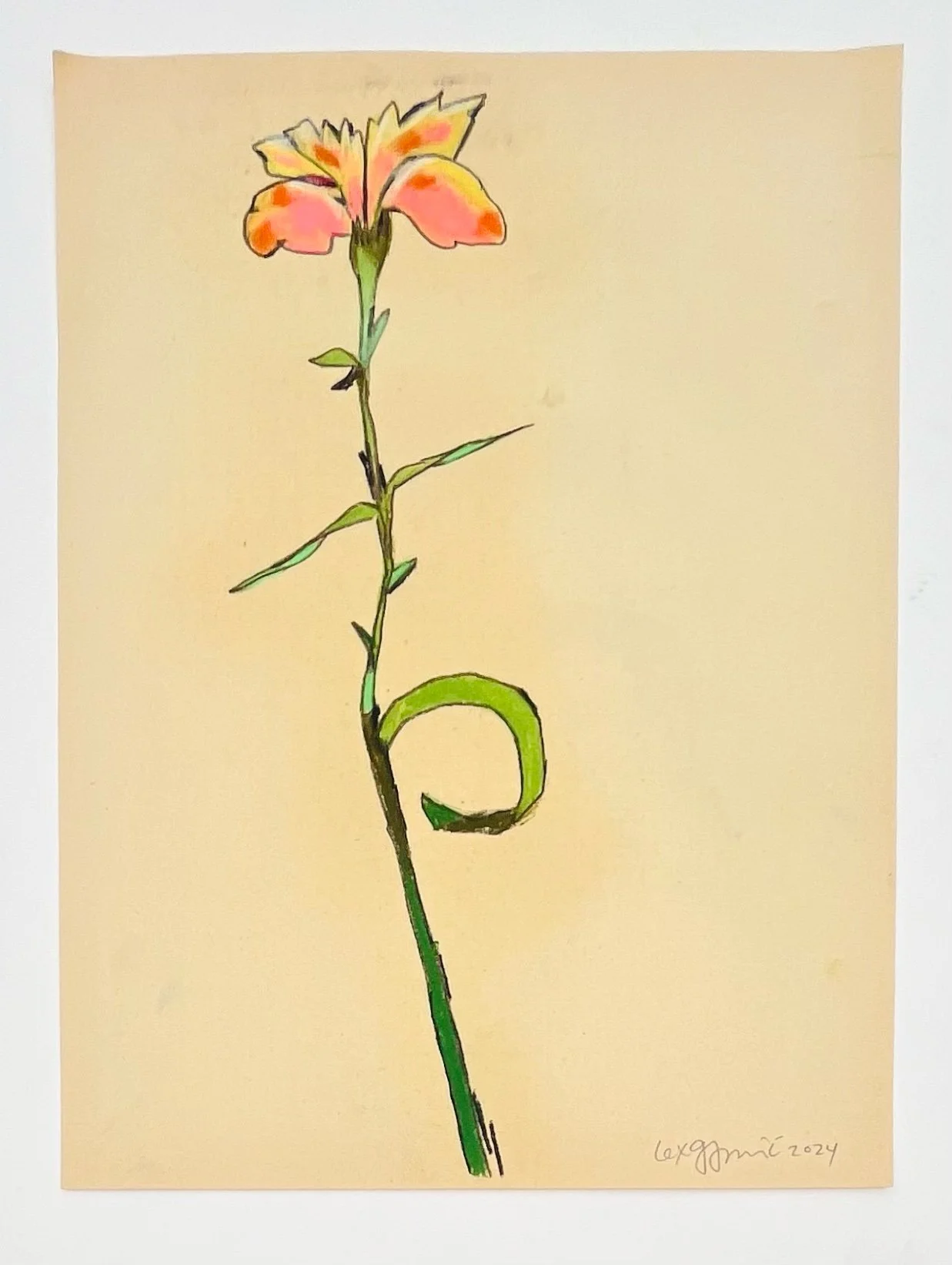  6  9x12"  Drawing on found paper  2024 