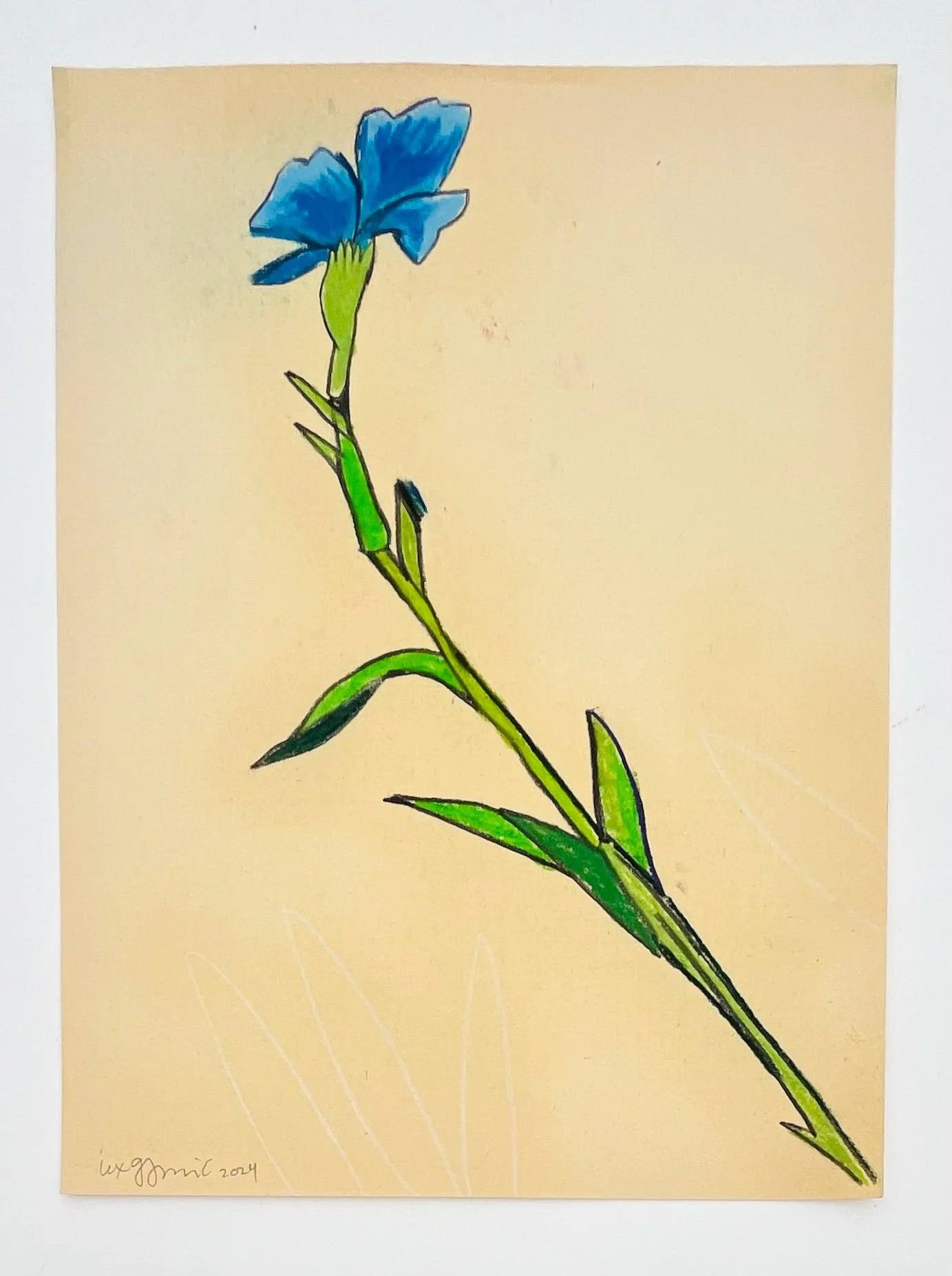  14  9x12"  Drawing on found paper  2024 