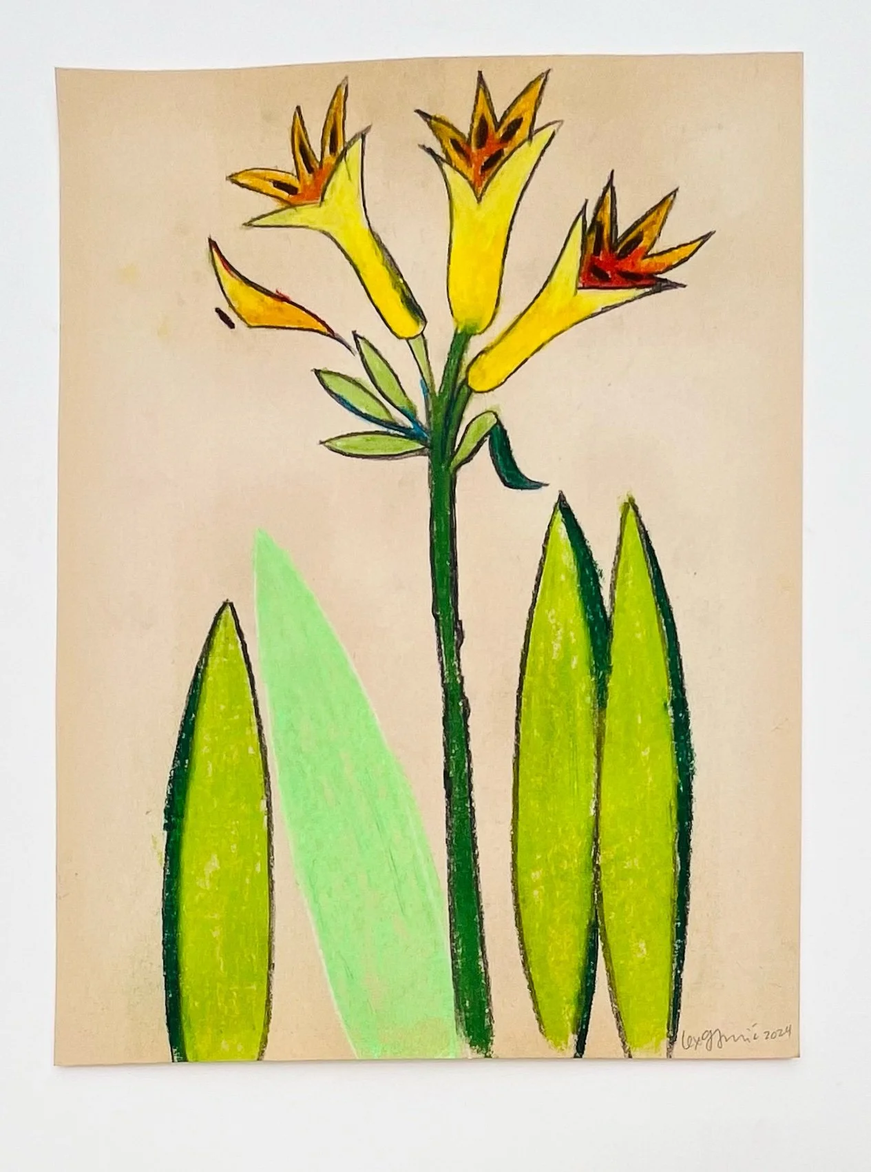  16  9x12"  Drawing on found paper  2024 