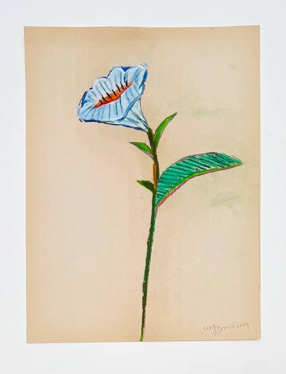  46  9x12"  Drawing on found paper  2024 