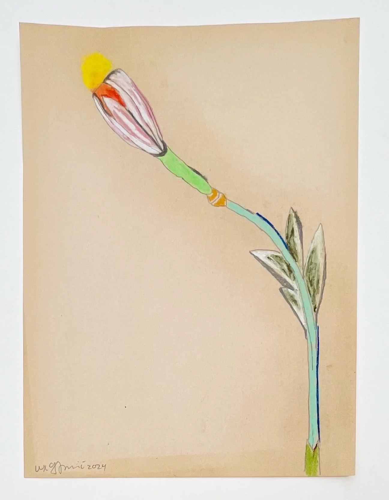  42  9x12"  Drawing on found paper  2024 