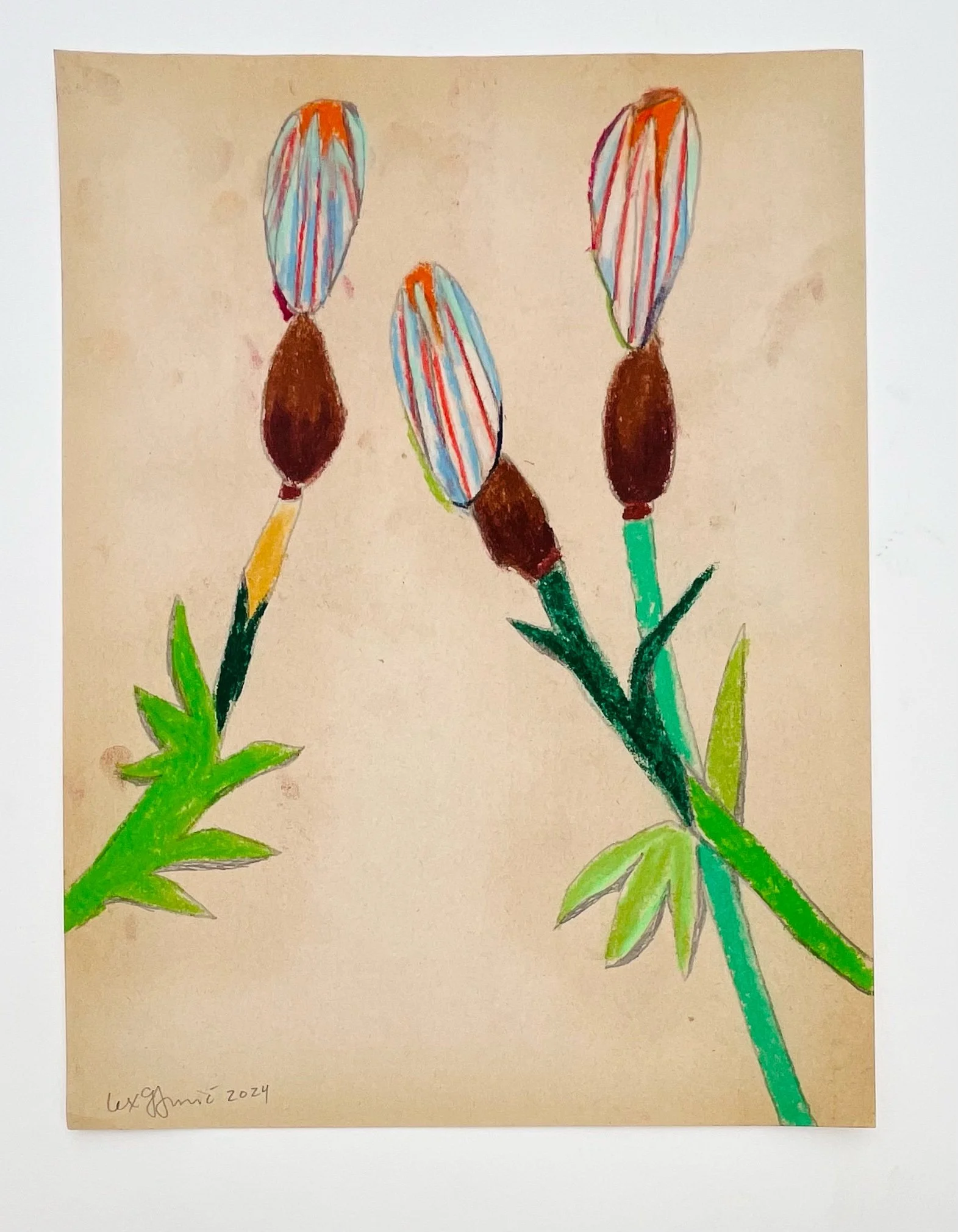  21  9x12"  Drawing on found paper  2024 