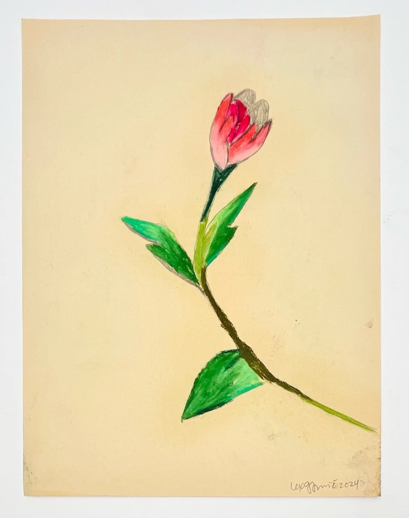  22  9x12"  Drawing on found paper  2024 