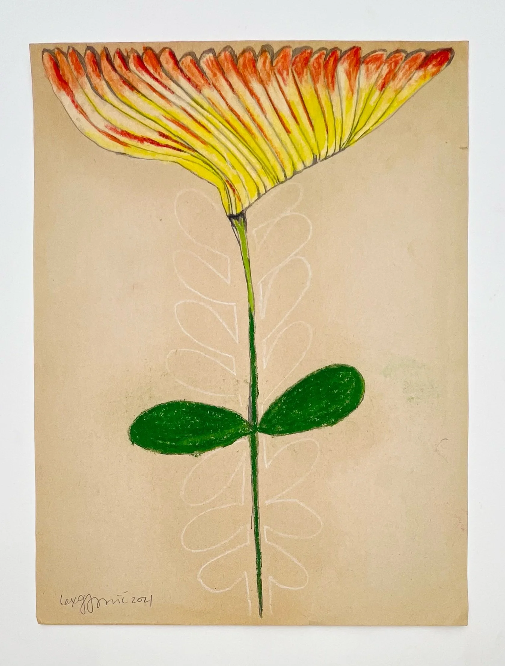  31  9x12"  Drawing on found paper  2024 