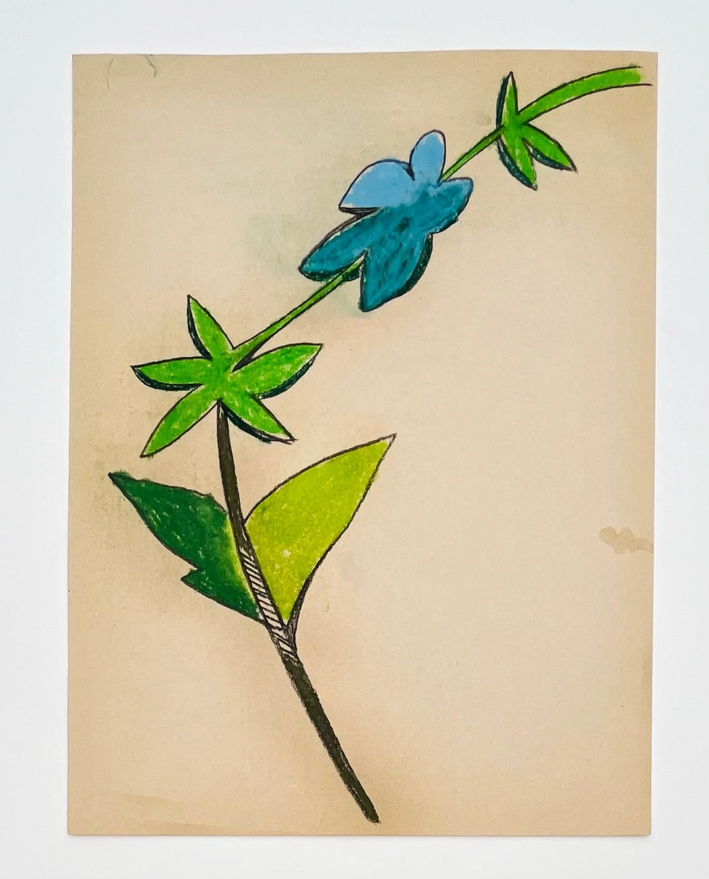  39  9x12"  Drawing on found paper  2024 