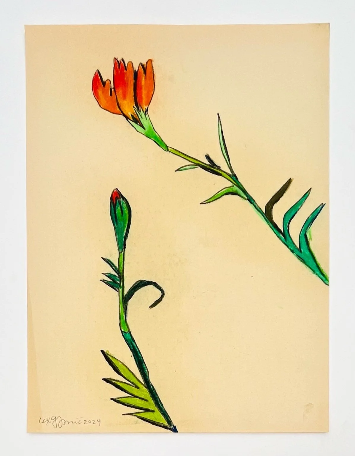  41  9x12"  Drawing on found paper  2024 