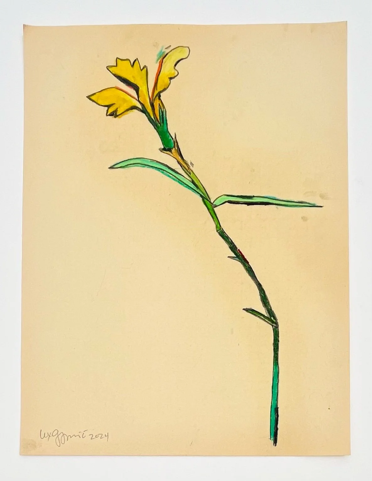  45  9x12"  Drawing on found paper  2024 