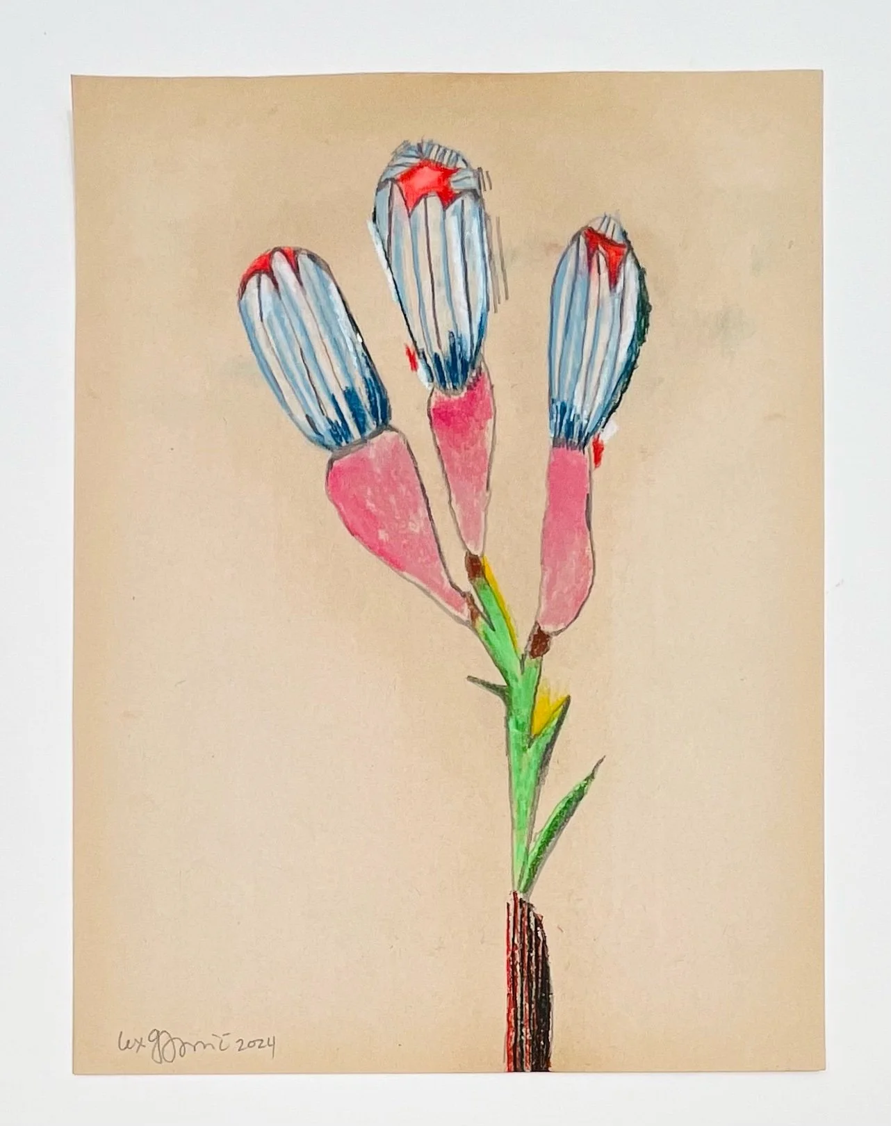  47  9x12"  Drawing on found paper  2024 