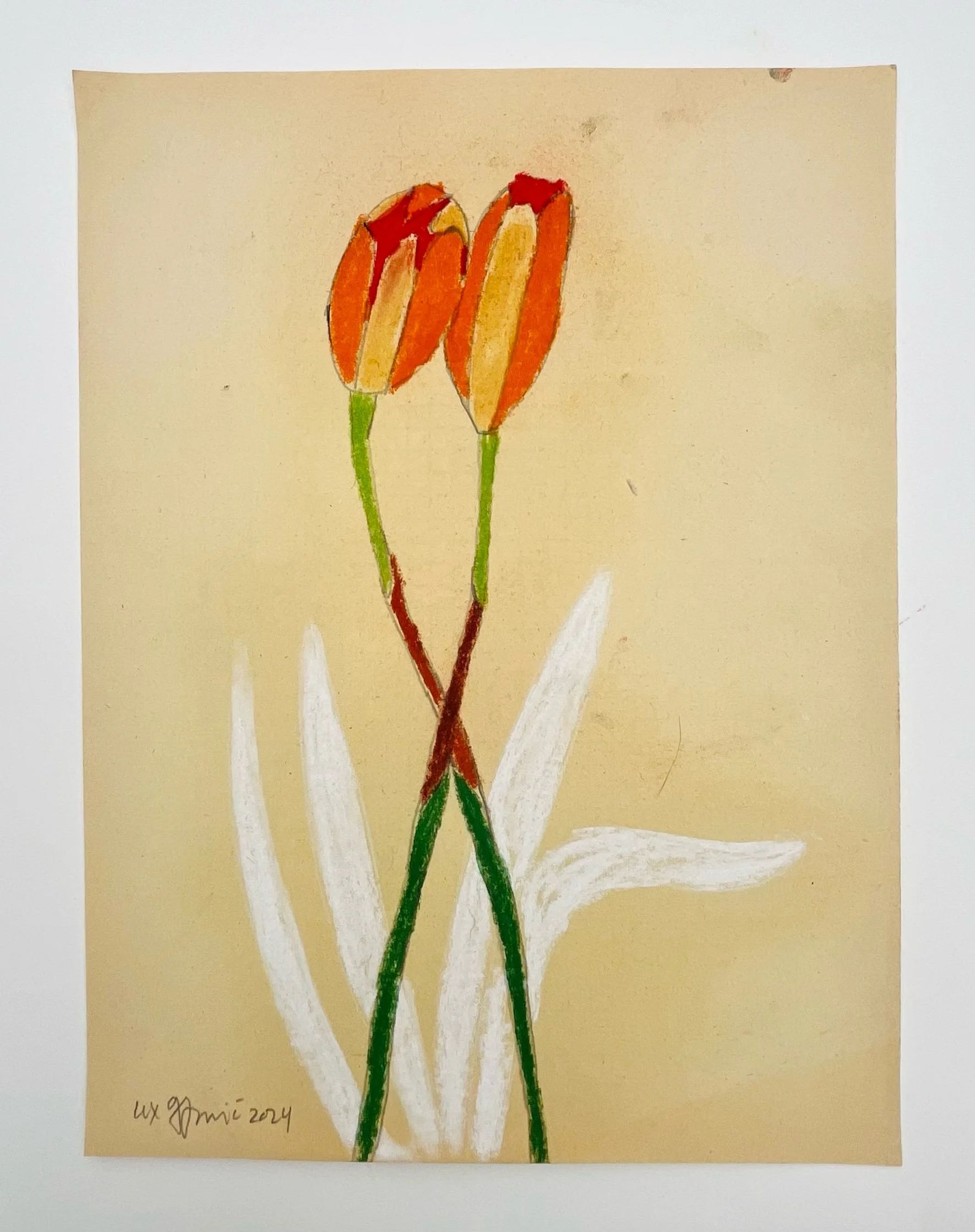  80  9x12"  Drawing on found paper  2024 