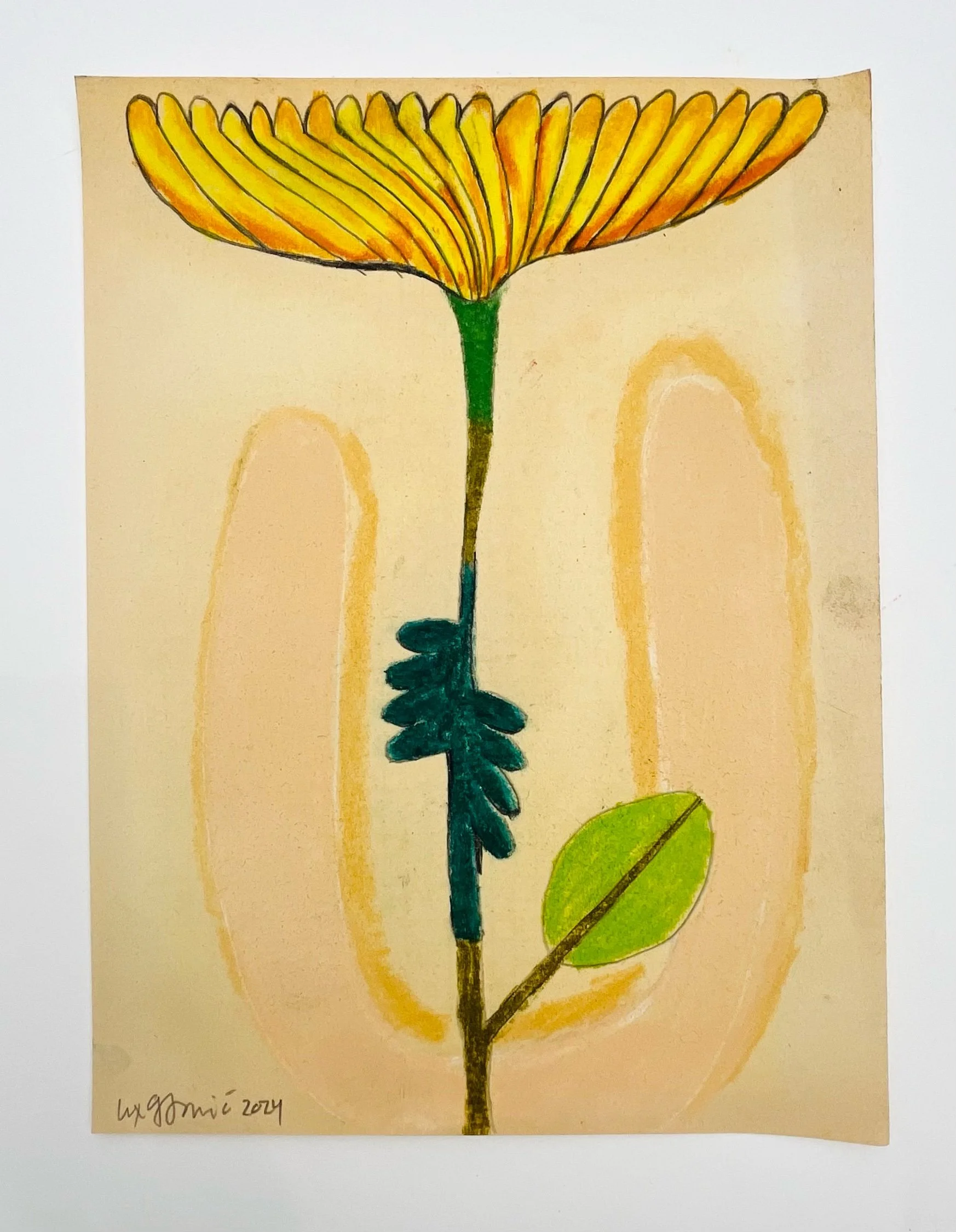  74  9x12"  Drawing on found paper  2024 