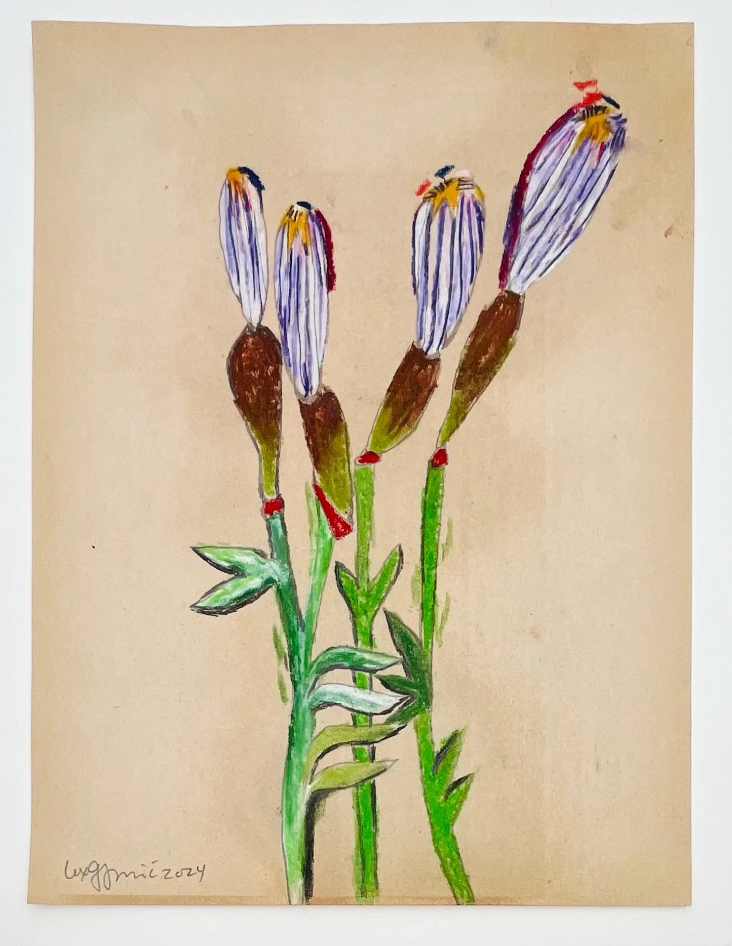  63  9x12"  Drawing on found paper  2024 