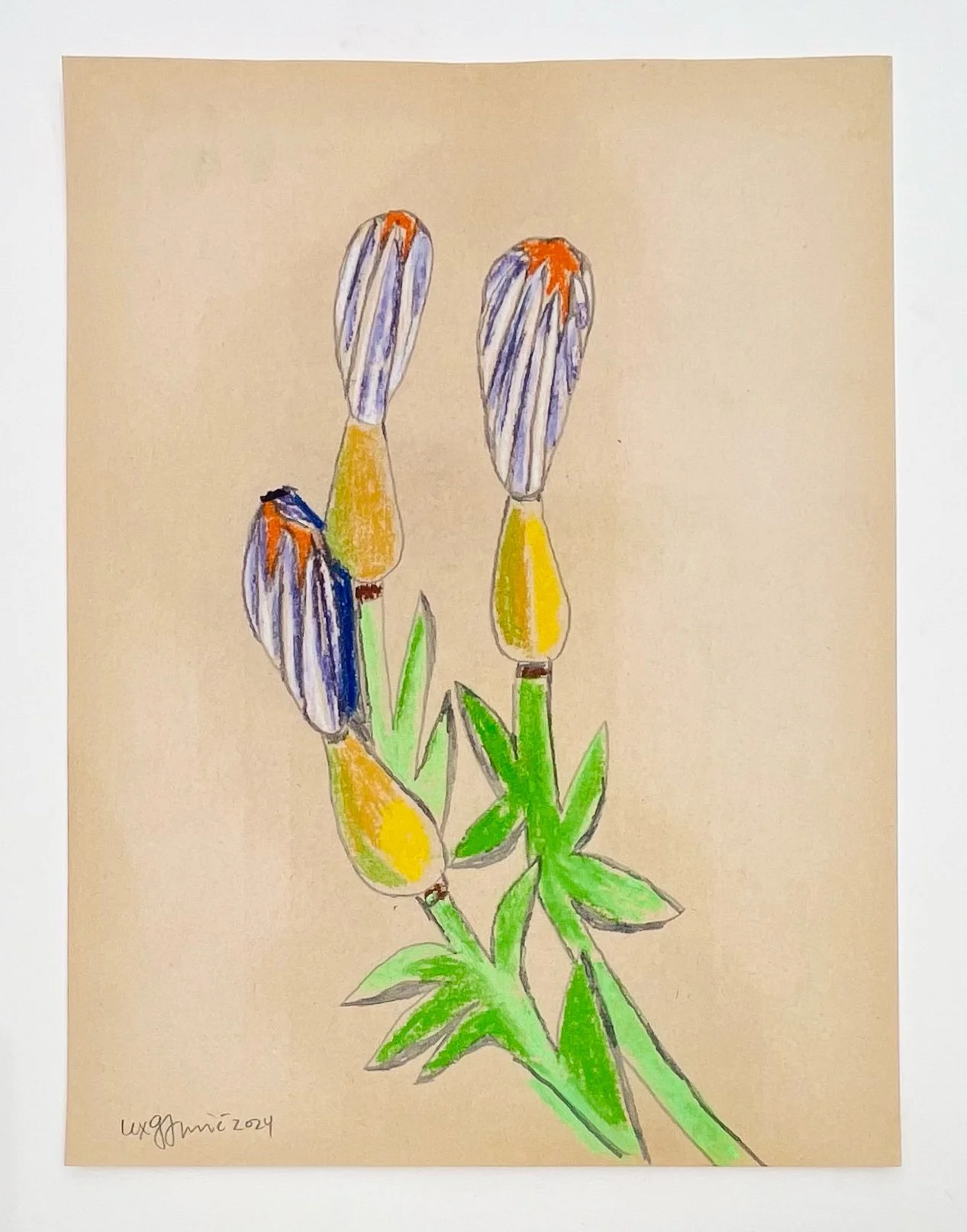  54  9x12"  Drawing on found paper  2024 