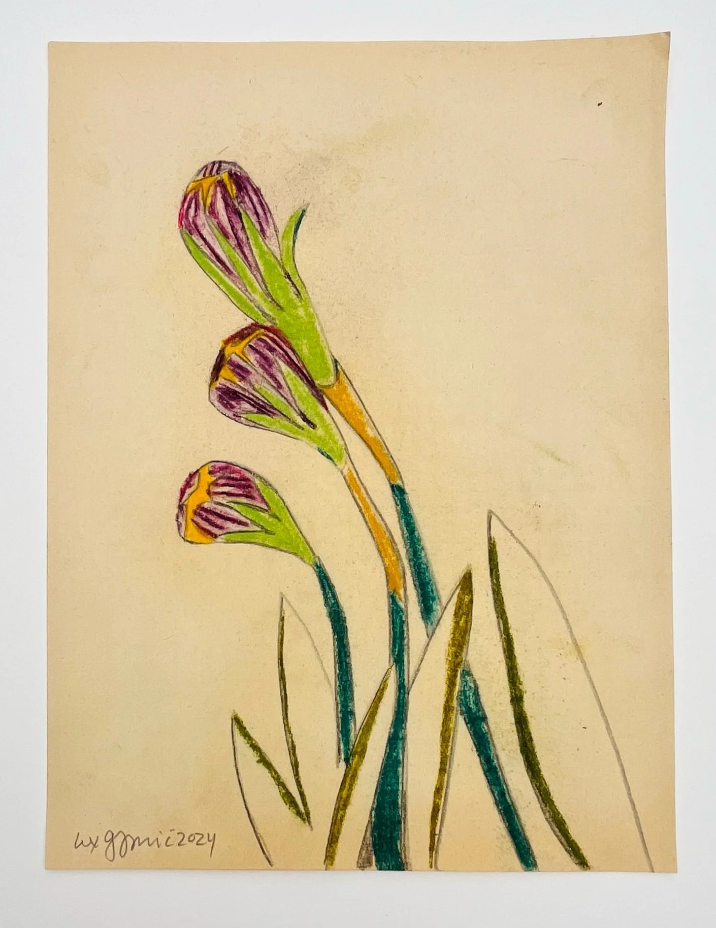  81  9x12"  Drawing on found paper  2024 