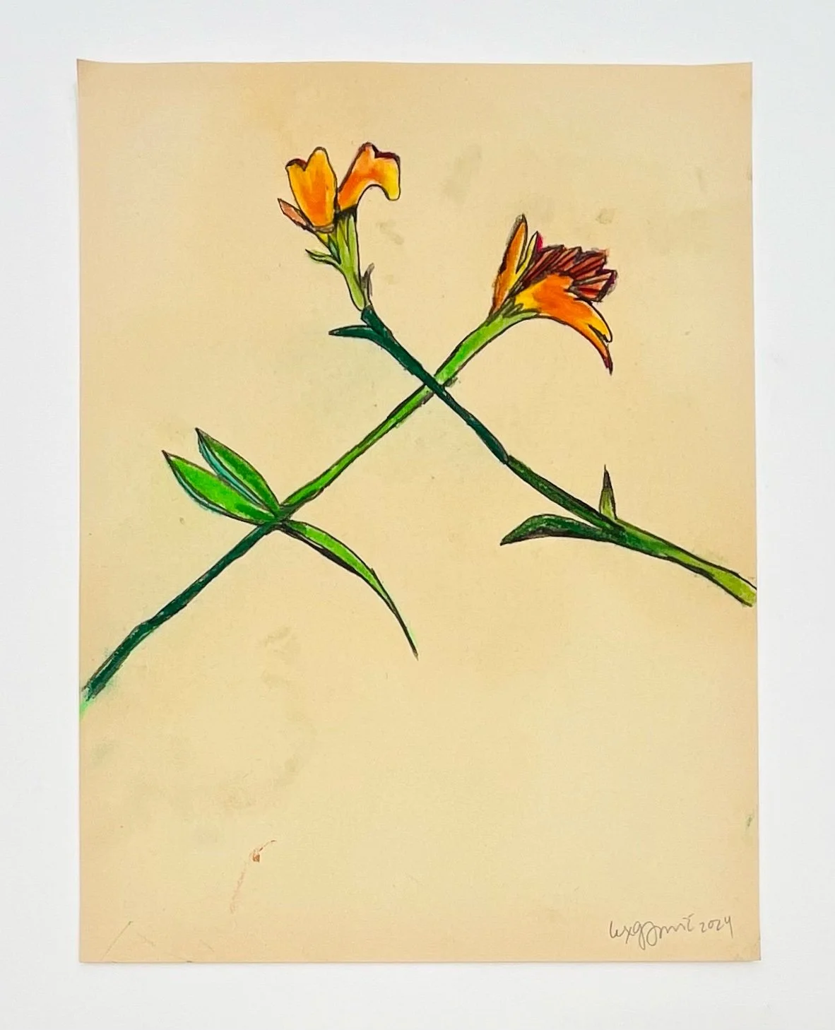  52  9x12"  Drawing on found paper  2024 