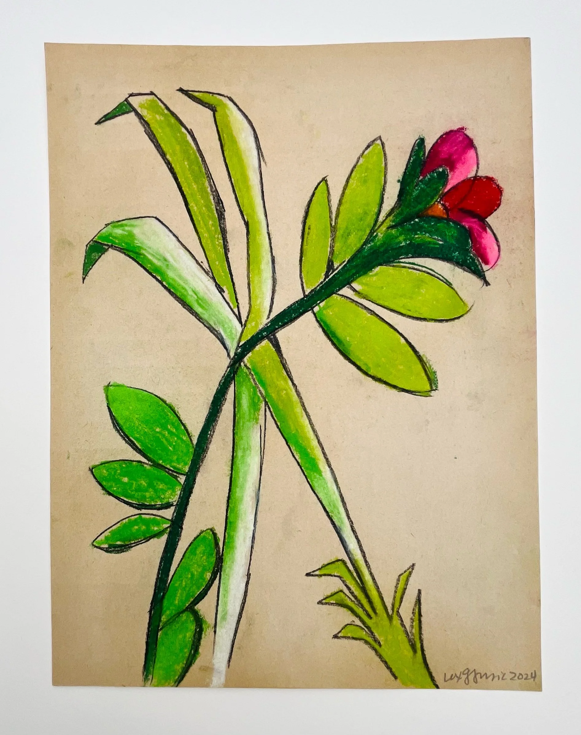  69  9x12"  Drawing on found paper  2024 