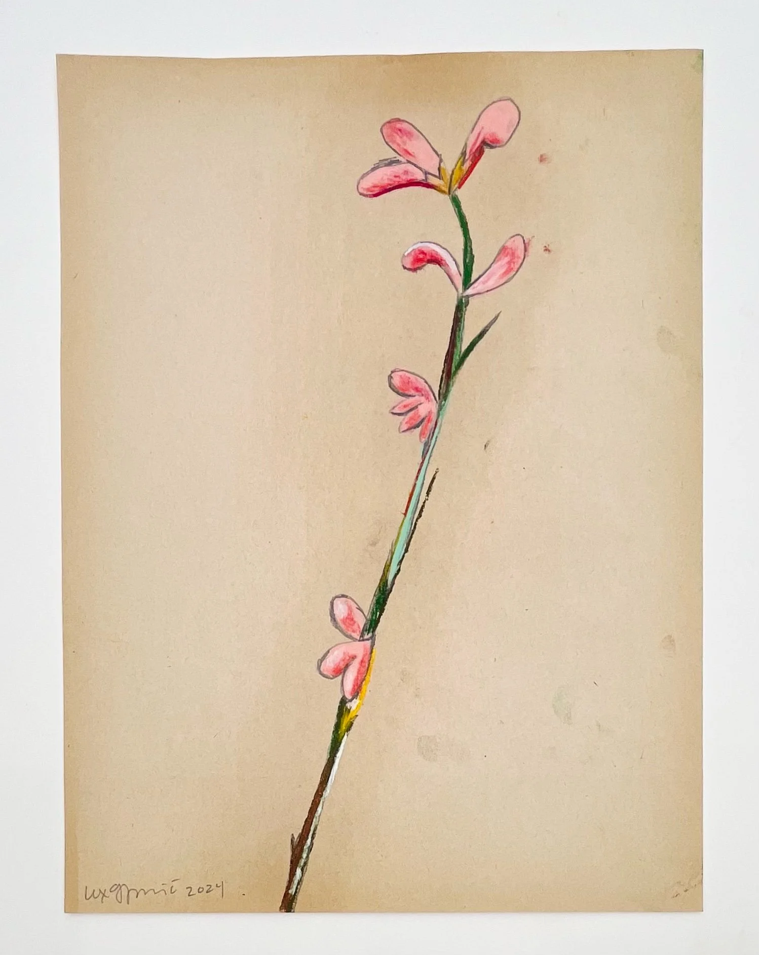  57  9x12"  Drawing on found paper  2024 