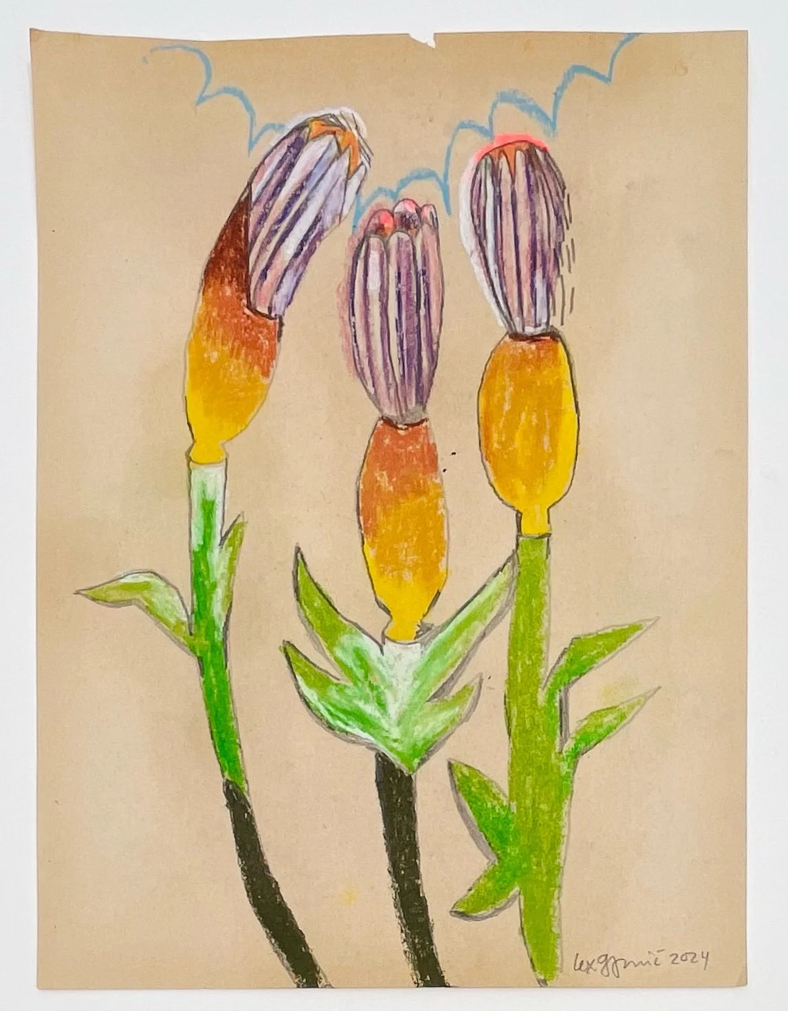  66  9x12"  Drawing on found paper  2024 