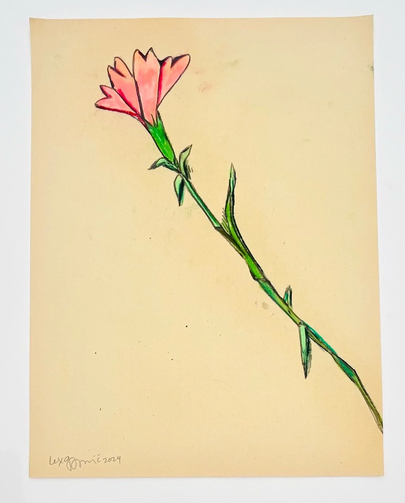  62  9x12"  Drawing on found paper  2024 