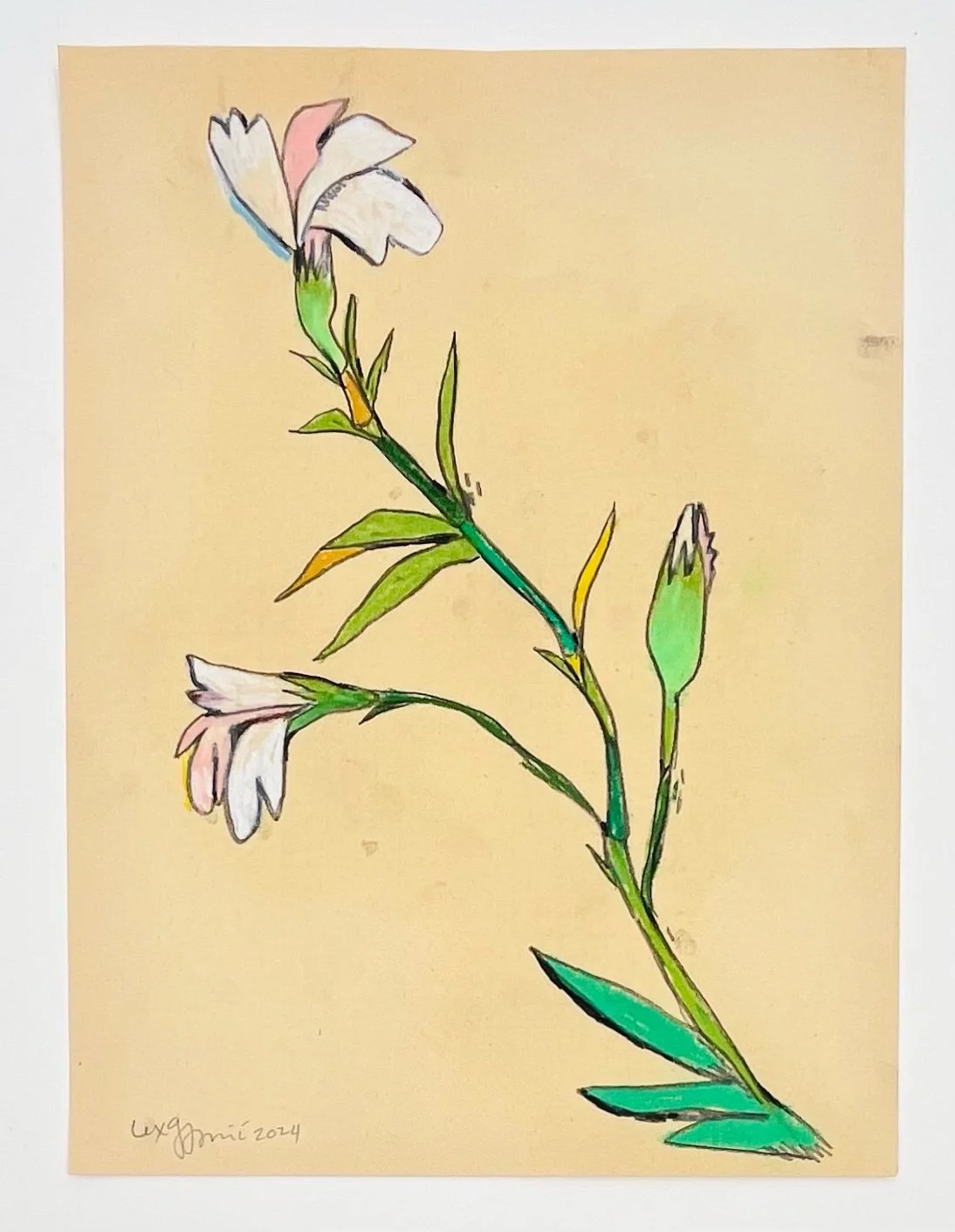  50  9x12"  Drawing on found paper  2024 