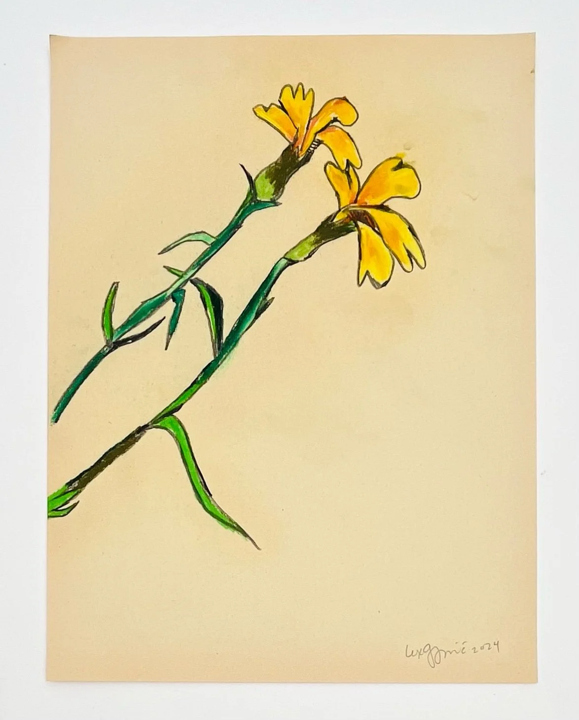  51  9x12"  Drawing on found paper  2024 