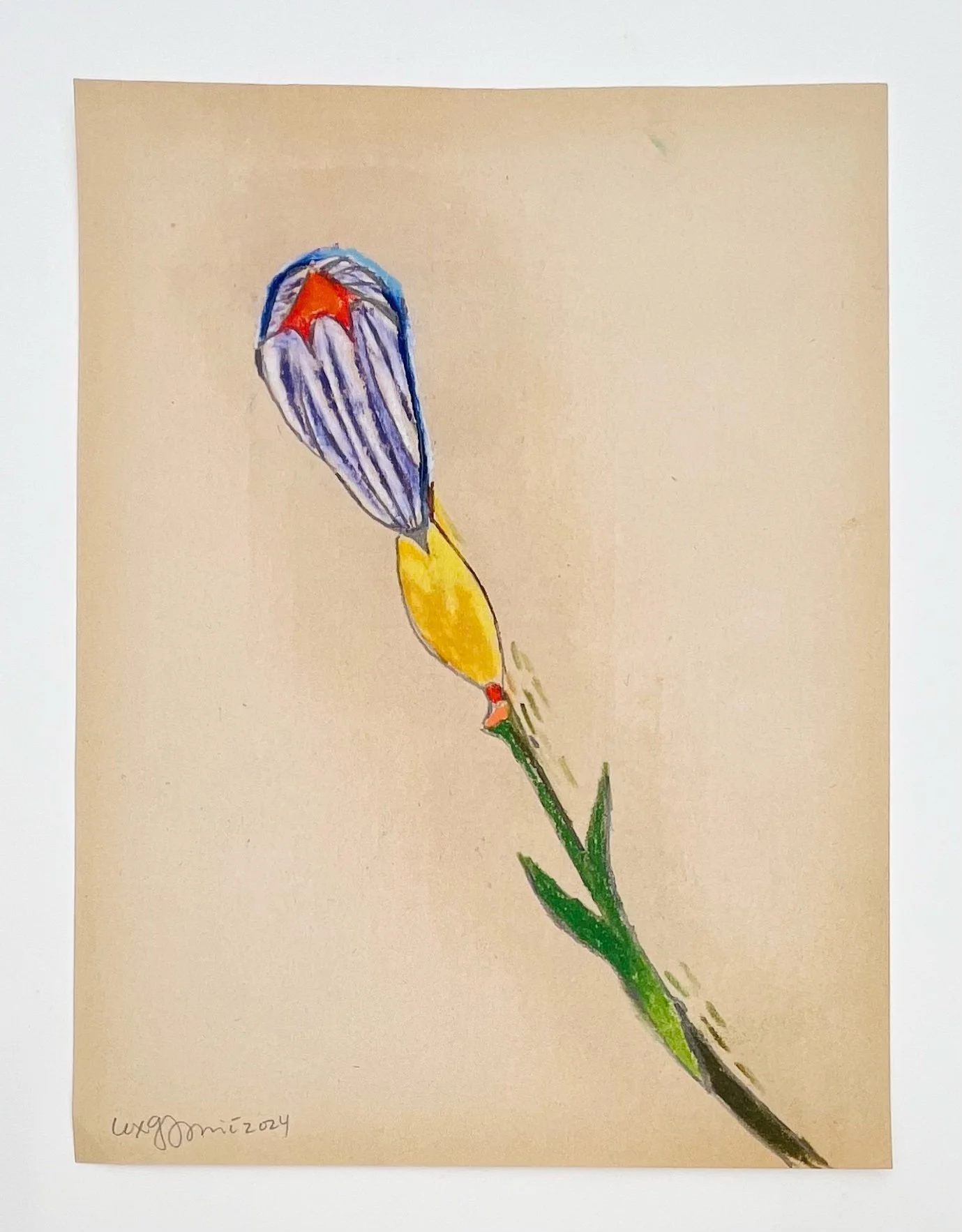  55  9x12"  Drawing on found paper  2024 