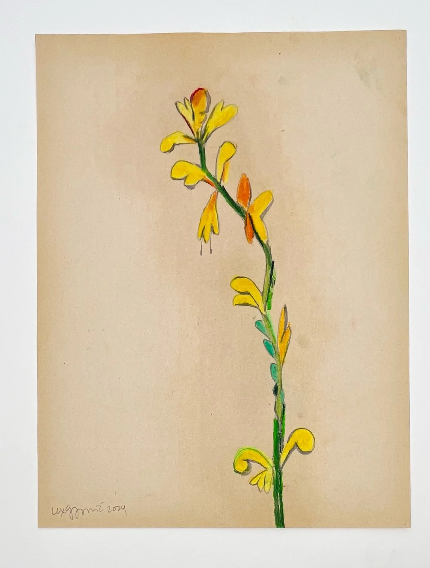  58  9x12"  Drawing on found paper  2024 