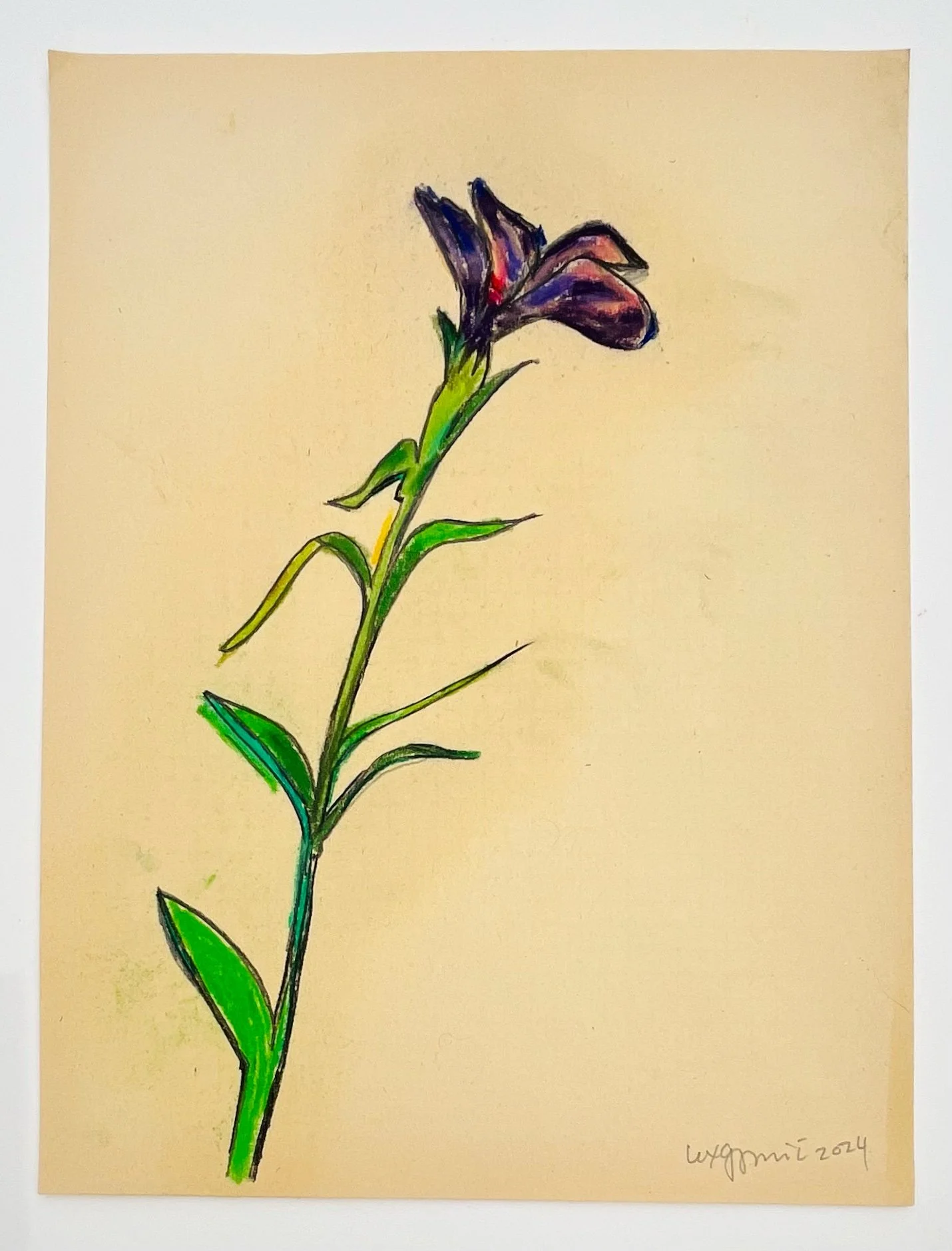  61  9x12"  Drawing on found paper  2024 