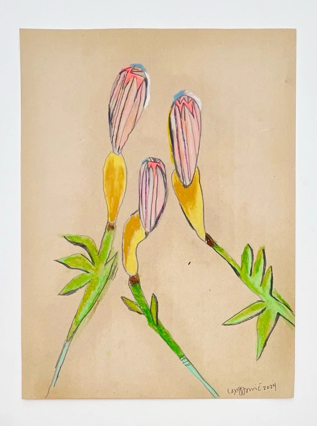  64  9x12"  Drawing on found paper  2024 