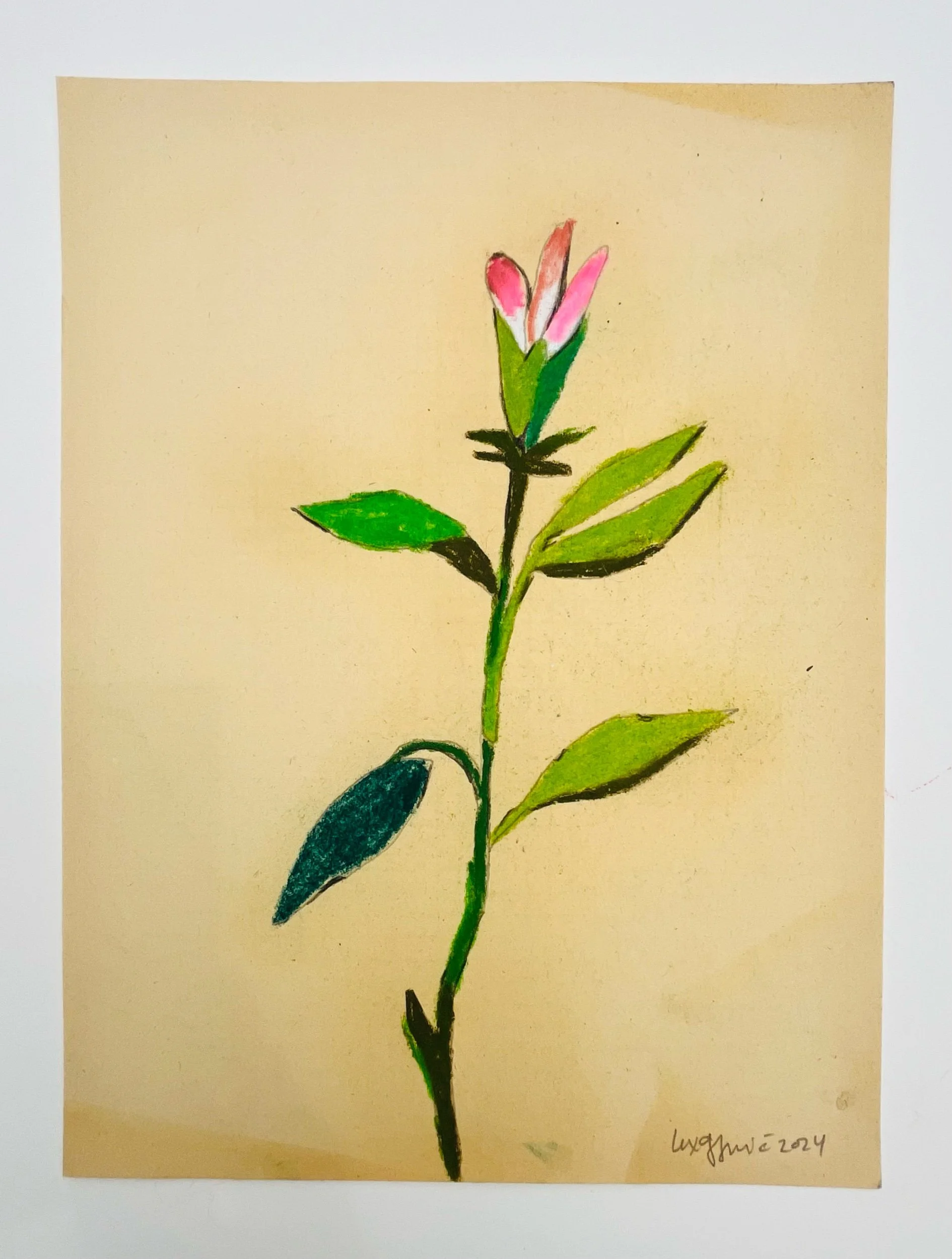  77  9x12"  Drawing on found paper  2024 