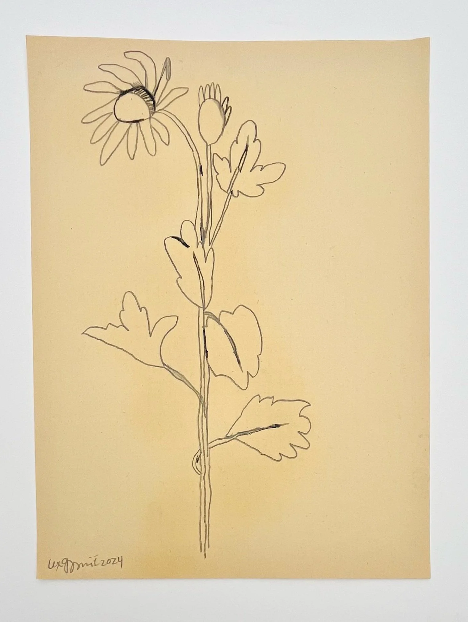  103  9x12"  Drawing on found paper  2024 