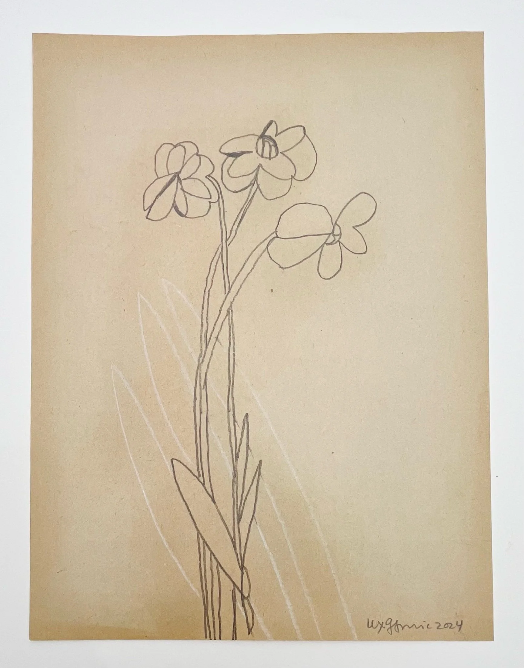  88  9x12"  Drawing on found paper  2024 