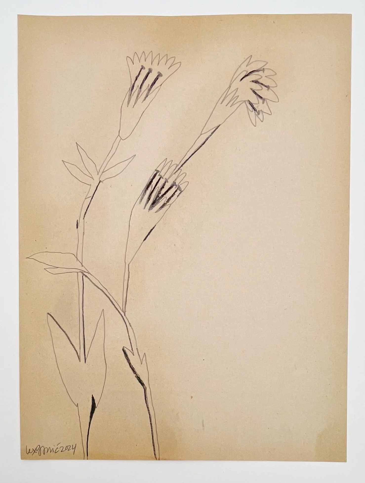  92  9x12"  Drawing on found paper  2024 