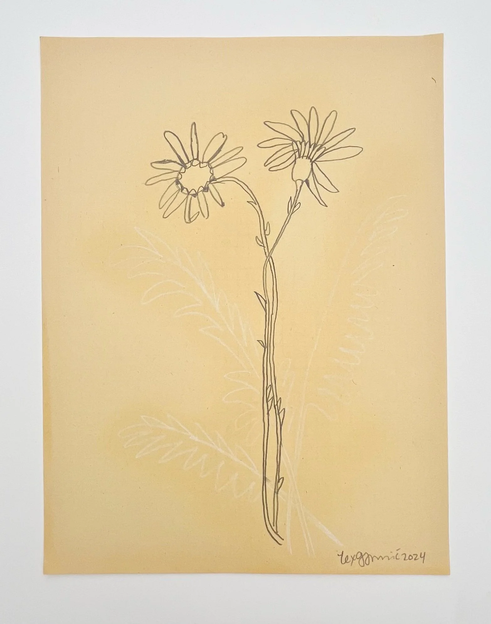  102  9x12"  Drawing on found paper  2024 