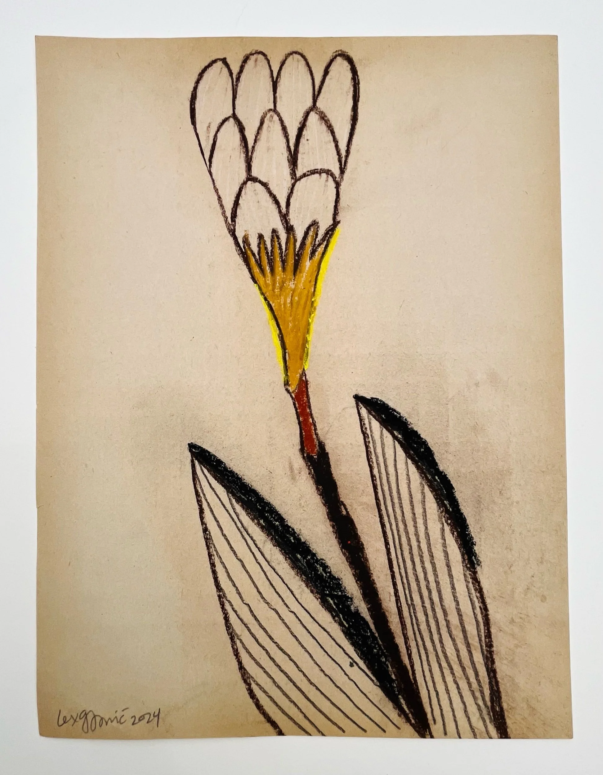  86  9x12"  Drawing on found paper  2024 