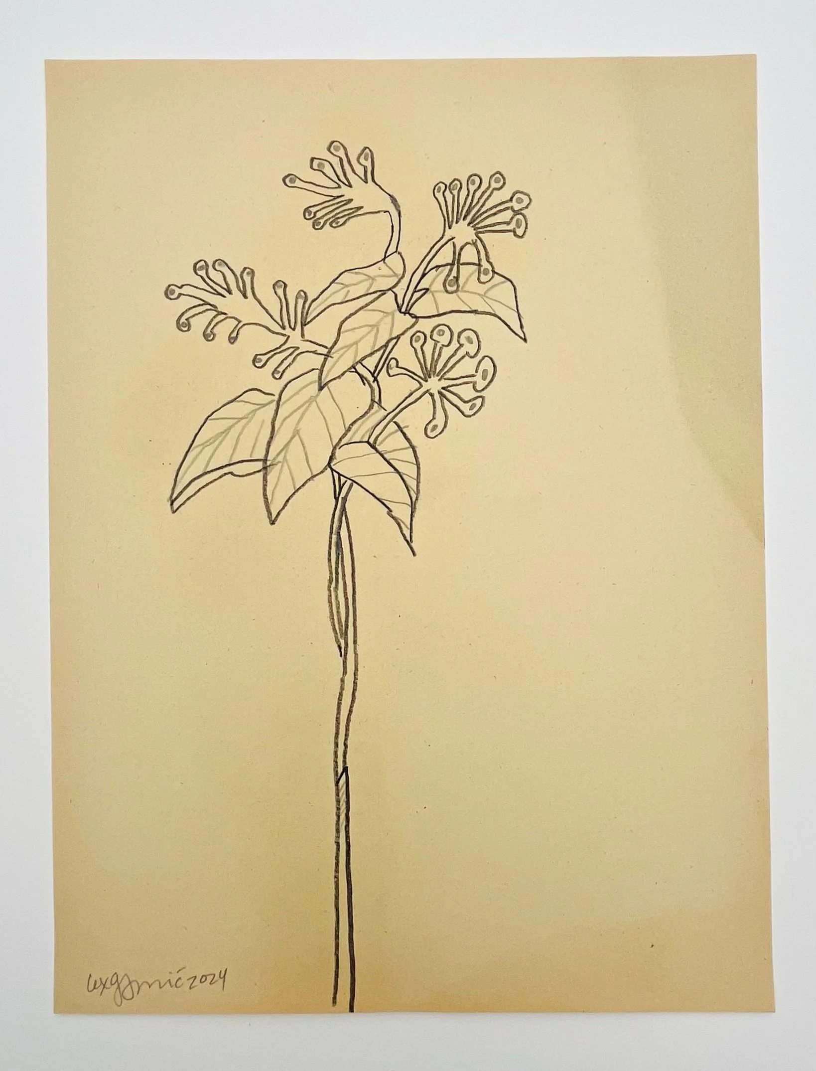  107  9x12"  Drawing on found paper  2024 