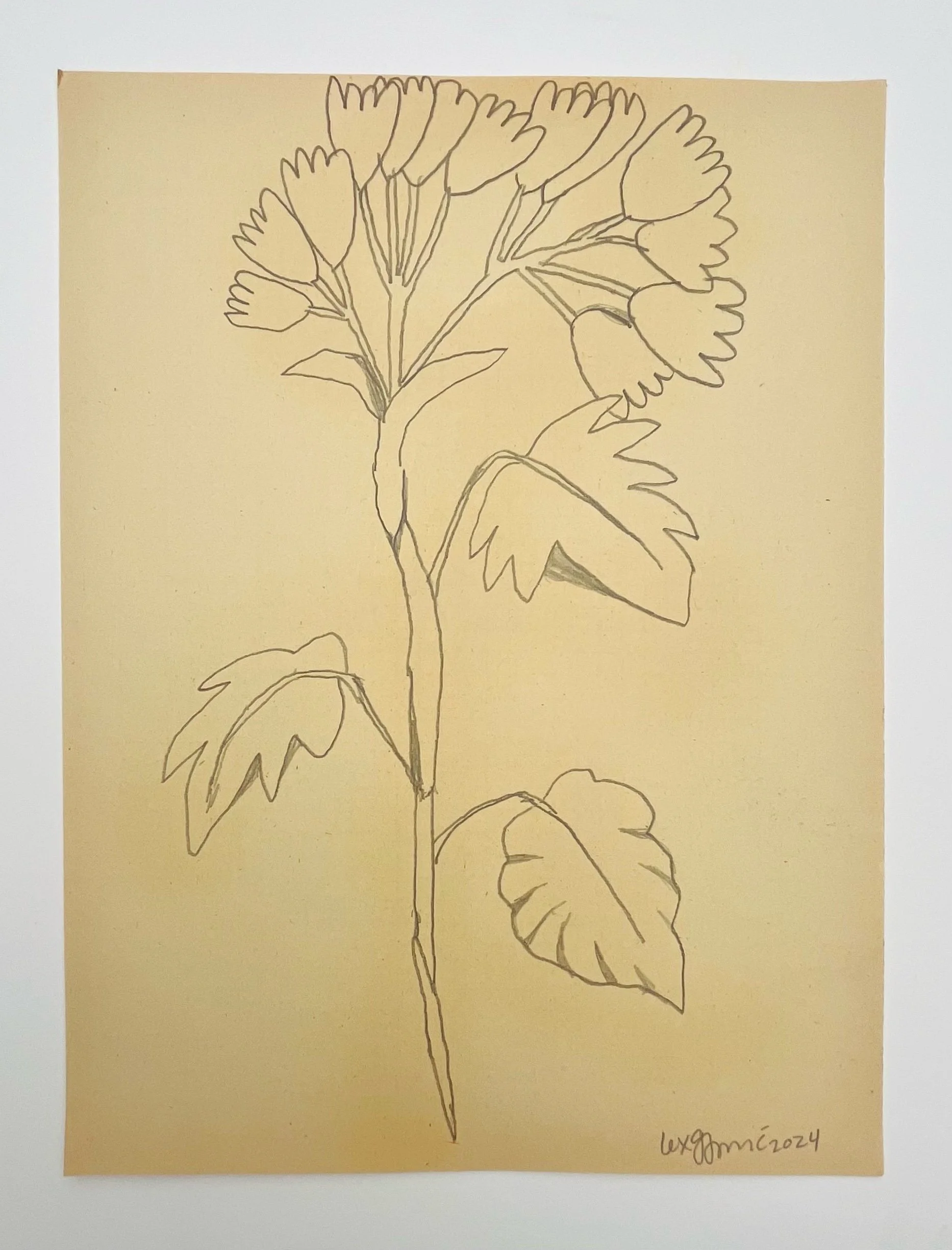  101  9x12"  Drawing on found paper  2024 