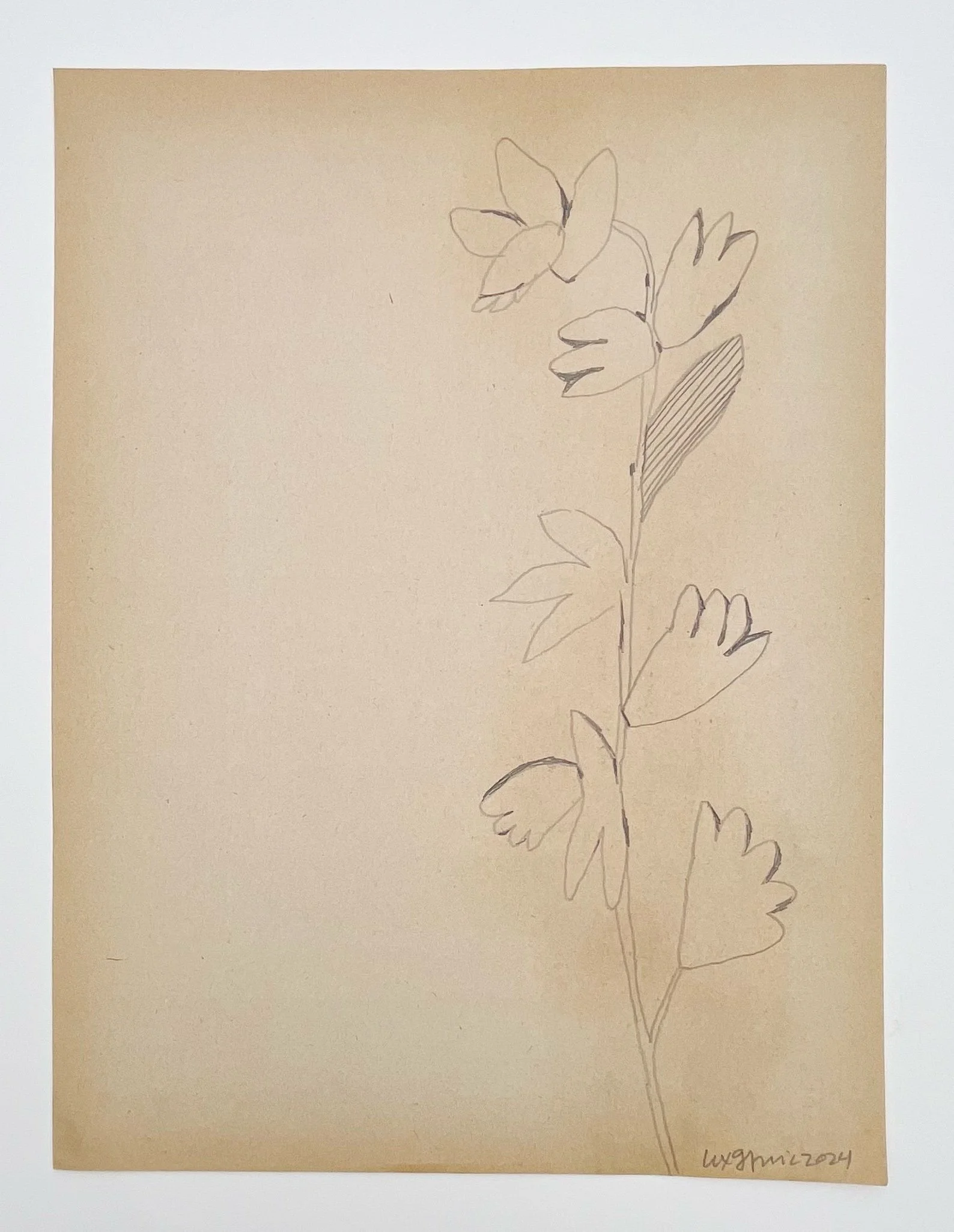  87  9x12"  Drawing on found paper  2024 