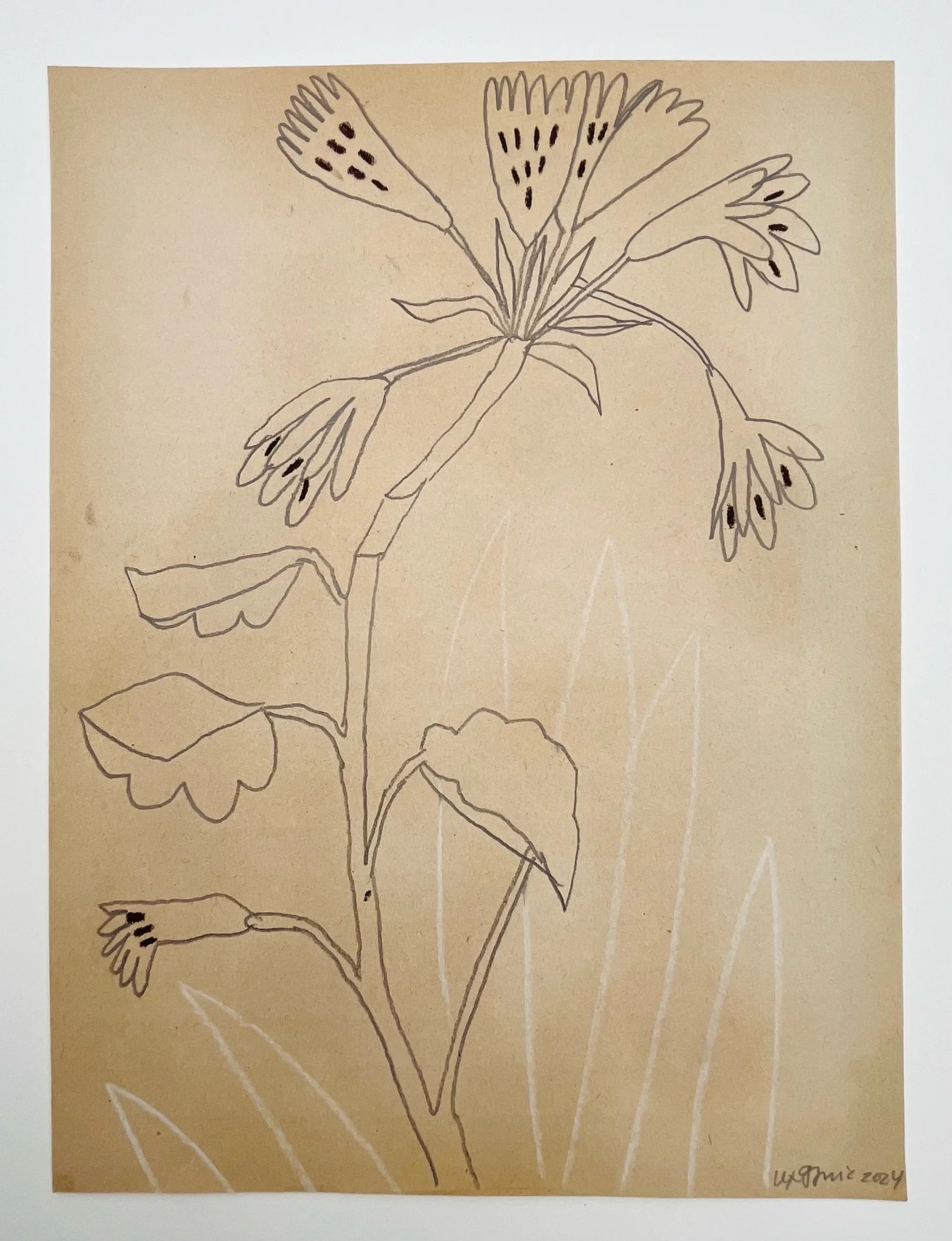  91  9x12"  Drawing on found paper  2024 