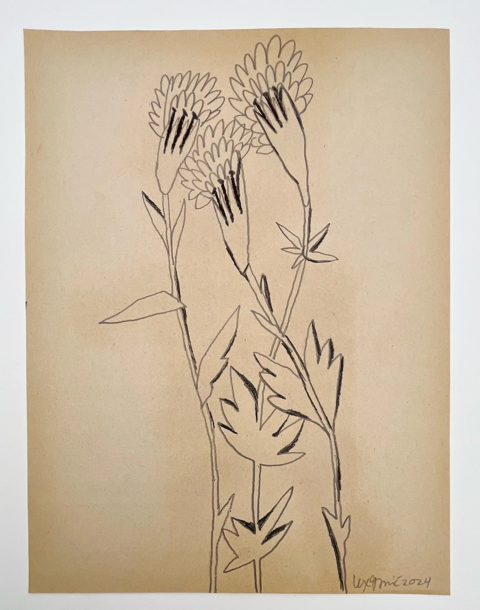  93  9x12"  Drawing on found paper  2024 