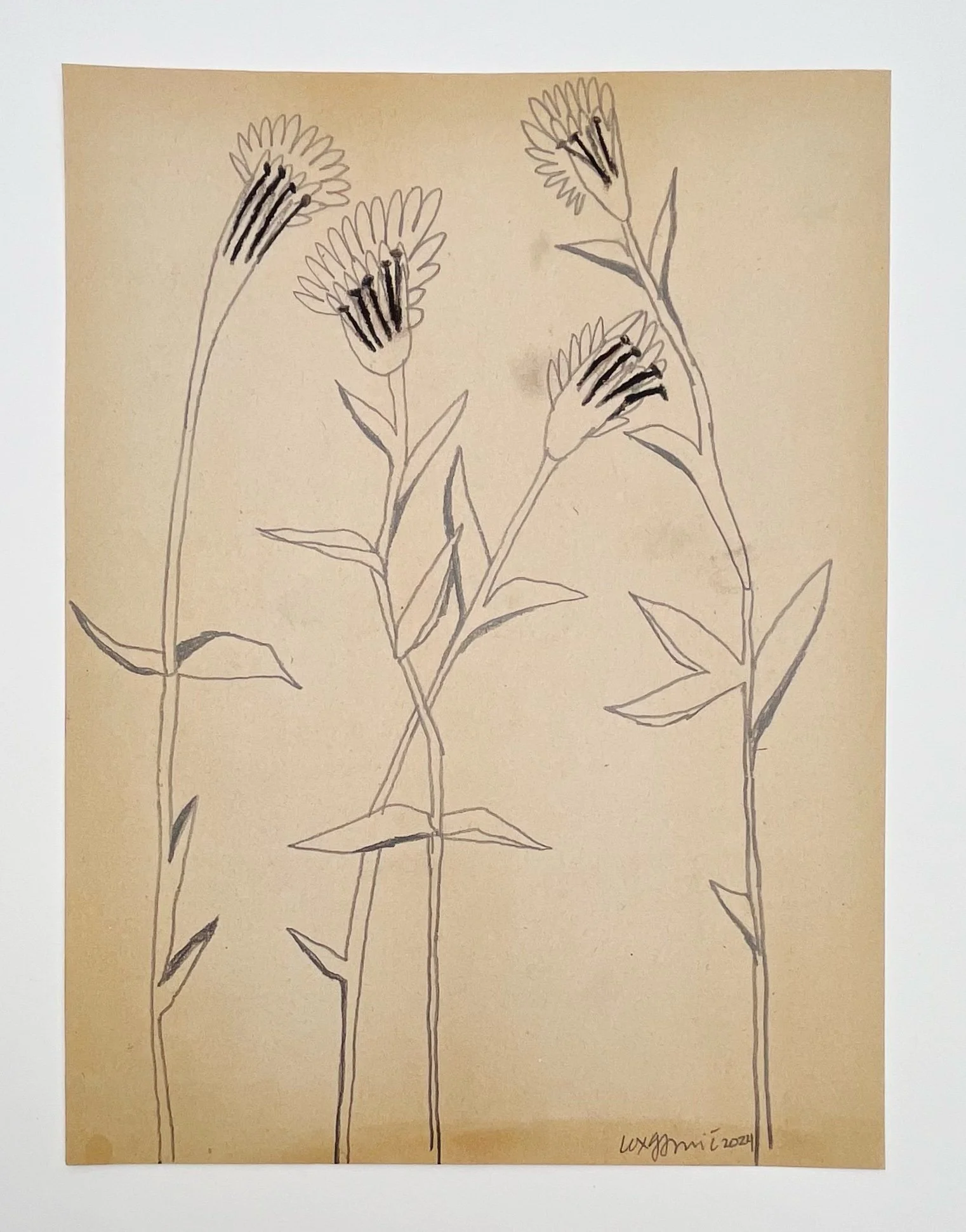  94  9x12"  Drawing on found paper  2024 