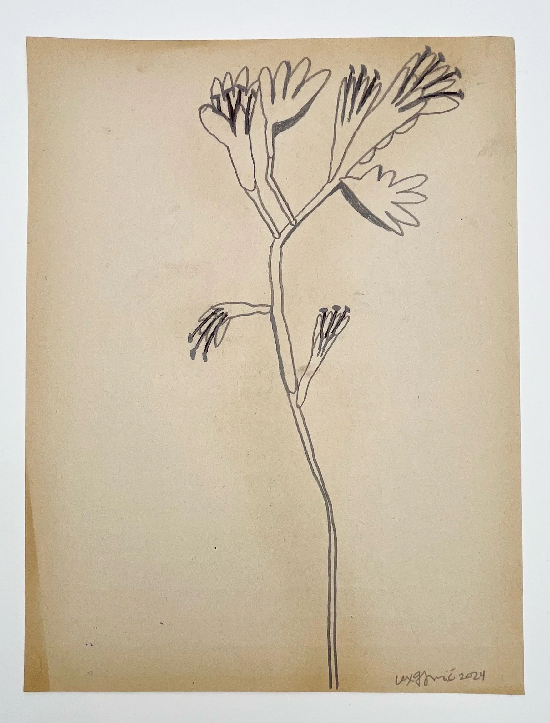  95  9x12"  Drawing on found paper  2024 