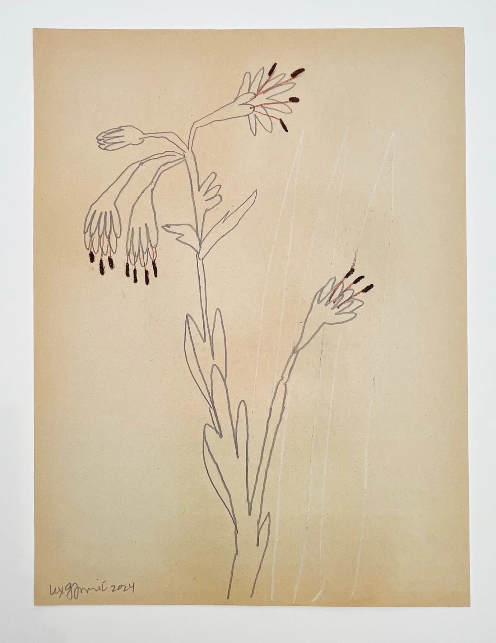  97  9x12"  Drawing on found paper  2024 