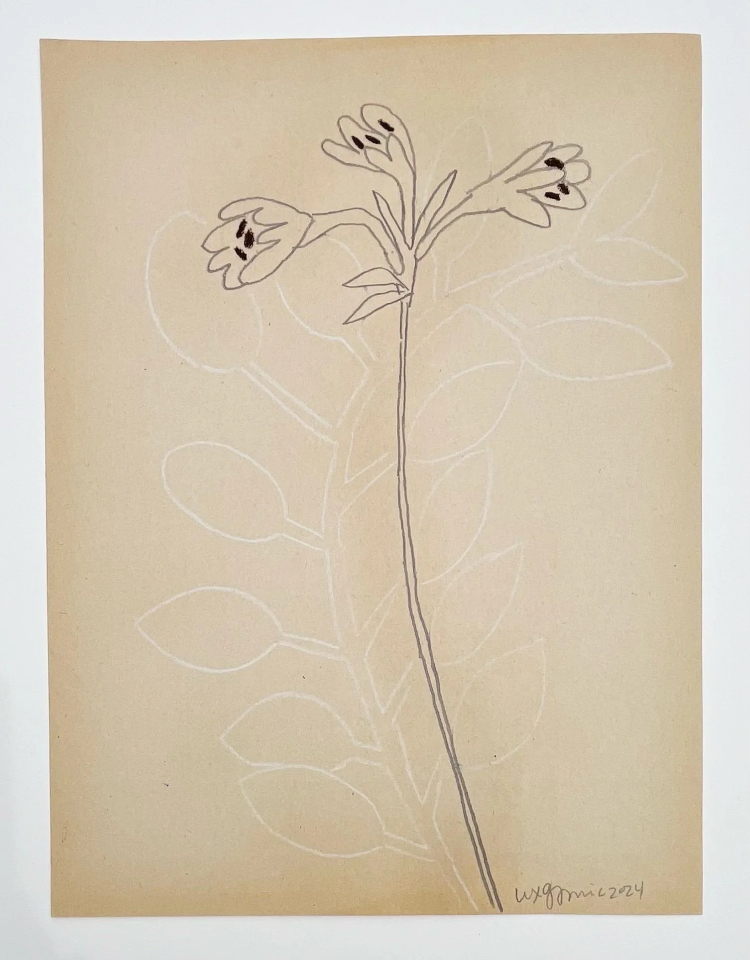  98  9x12"  Drawing on found paper  2024 